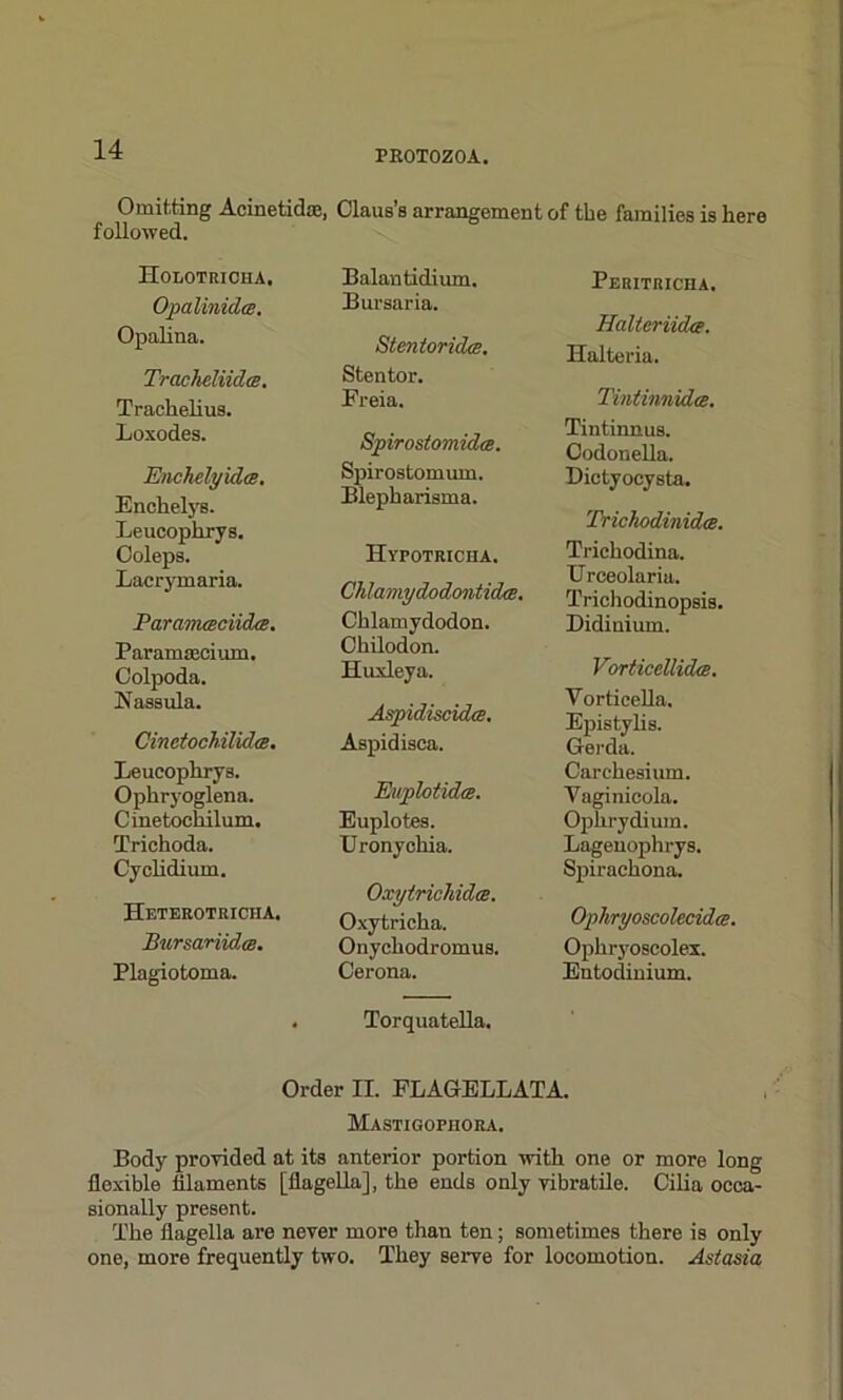 Omitting Acinetidae, Claus’s arrangement of the families is here followed. Holotricha. Opalinidts. Opalina. Tracheliidts. Trachelius. Loxodes. Enclwlyidts. Enchelys. Leucophrys. Coleps. Lacrymaria. ParavKBciicUe. Paramaeeium. Colpoda. Nassula. CinetochilidcB. Leucophrys. Ophryoglena. Cinetochilum. Trichoda. Cychdium. Heterotricha. Iiursariida. Plagiotoma. Balantidium. Bursaria. Stentorides. Stentor. Freia. Spirostomidce. Spirostomum. Blepharisma. Hypotricha. Chlamydodontida. Chlamydodon. Chilodon. Huxleya. Aspidiscidce. Aspidisca. Euplotidce. Euplotes. Uronychia. Oxytrichidce. Oxytricha. Onychodromus. Cerona. Torquatella. Peritricha. HalteriicUf. Halteria. Tintinnidce. Tintinnus. Codonella. Dictyoeysta. Trickodinidce. Trichodina. Urceolaria. Trichodinopsis. Didinimn. Vorticellidm. Vorticella. Epistylis. Gerda. Carchesium. Vaginicola. Ophrydium. Lagenophrys. Spirachona. Ophryoscolecidee. Ophryoscolex. Entodinium. Order II. FLAGELLATA. Mastigopiiora. Body provided at its anterior portion with one or more long flexible filaments [flagella], the ends only vibratile. Cilia occa- sionally present. The flagella are never more than ten; sometimes there is only one, more frequently two. They serve for locomotion. Astasia