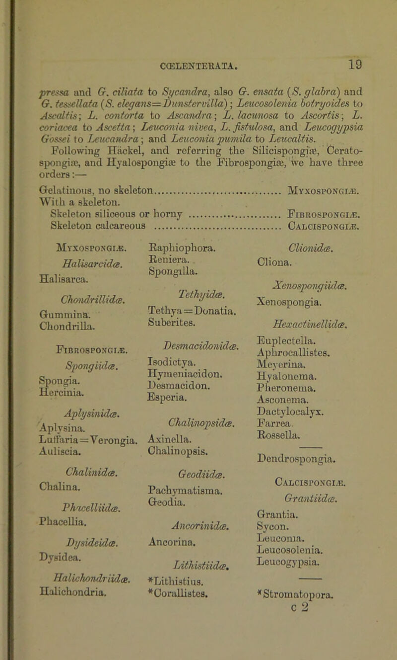 pressa and G. ciliata to Sycandra, also G. ensata (S. glabra) and G. tessellata (S. elegans—iDunstervilla); Leucosolenia botryoides to Ascaltis; L. contorta to Ascandra; L. lacmiosa to Ascortis; L. coriacea to Ascetta; Leuconia nivea, L. fistulosa, and Leucogypsia Gossei to Leucandra; and Leuconia pumila to Leuccdtis. Following Hackel, and referring the Silicispongi'ae, Cerato- spongire, and Ilyalospongiie to the Fibrospongiae, we have three orders:— Gelatinous, no skeleton Myxospongle. With a skeleton. Skeleton siliceous or horny Fibrospongiae. Skeleton calcareous Calcispongi.e. Myxospongle. Halisarcida. Halisarca. Chondrillidee. Gummina. Chondrilla. Fibrospongle. Spongiidts. Spongia. Hercinia. Aplysinidm. Aplysina. Lutl'aria=:Verongia. Auliscia. Chalinidce. Chalina. Ph'icelliidce. Phacellia. T)yside idee. Dysidea. Halichondriidce. Ilalichondria. Eaphiophora. Eeniera. Spongilla. Tethyidce. Tethy a=Donatia. Suberites. Desmacidonidce. Isodictya. Hymeniacidon. Desmacidon. Esperia. Chalinopsidce. Axinella. Chalinopsis. Geodiidee. Pachymatisma. Geodia. Ancorinvdae. Ancorina. Lithistiida, *Lithistius. *Corallistes. ClionidcB. Cliona. Xenospongiidee. Xenospongia. Hexactinellidee. Euplectella. Aphrocallistes. Meyerina. Hyalonema. Pheronema. Asconema. Dactylocalyx. Farrea. Rossella. Dendrospongia. Calcispongi.e. Grantiidce. Grantia. Sycon. Leuconia. Leucosolenia. Leucogypsia. Strom atop ora.