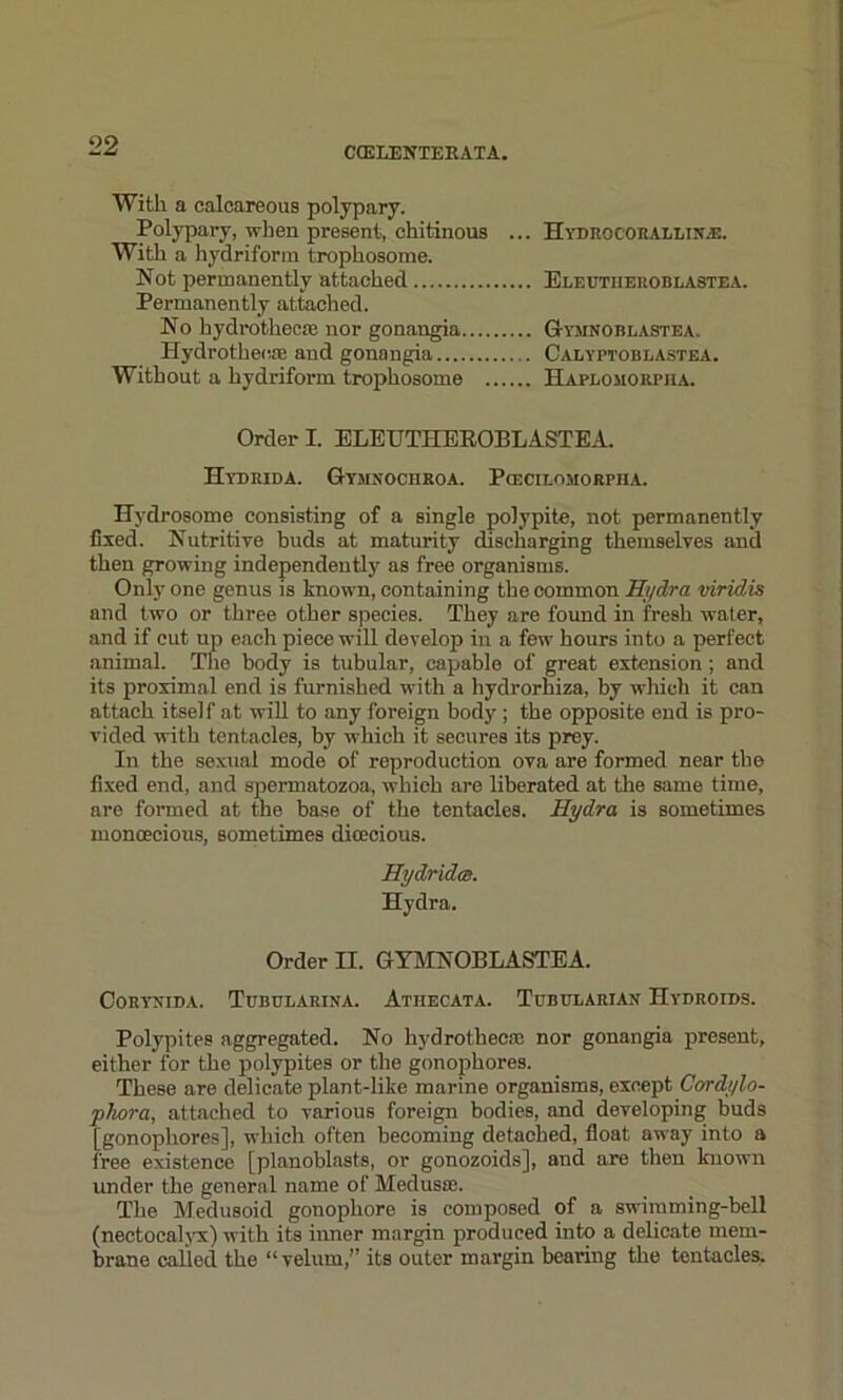 With a calcareous polypary. Polypary, when present, chitinous ... With a hydriform trophosome. Not permanently attached Permanently attached. No hydrotliecae nor gonangia Hydrothecm and gonangia Without a hydriform trophosome HyDROCORALLIN/E. Electiieroblastea. Gymnoblastea. Calyptoblastea. Haplomorpiia. Order I. ELEUTHEROBLASTEA. IIydrida. Gymnochroa. Pcecii.omorpiia. Hydrosome consisting of a single polypite, not permanently fixed. Nutritive huds at maturity discharging themselves and then growing independently as free organisms. Only one genus is known, containing the common Hydra viridis and two or three other species. They are found in fresh water, and if cut up each piece will develop in a few hours into a perfect animal. The body is tubular, capable of great extension; and its proximal end is furnished with a hydrorhiza, by which it can attach itself at will to any foreign body ; the opposite end is pro- vided with tentacles, by which it secures its prey. In the sexual mode of reproduction ova are formed near the fixed end, and spermatozoa, which are liberated at the same time, are formed at the base of the tentacles. Hydra is sometimes monoecious, sometimes dioecious. Hydrides. Hydra. Order II. GYMNOBLASTEA. Coryxida. Tubularina. Athecata. Tubulariax Hydroids. Polypites aggregated. No hydrotheem nor gonangia present, either for the polypites or the gonophores. These are delicate plant-like marine organisms, except Cordylo- phora, attached to various foreign bodies, and developing buds [gonophores], which often becoming detached, float away into a free existence [planoblasts, or gonozoids], and are then known under the general name of Medusae. The Medusoid gonophore is composed of a swimming-hell (nectoealyx) with its inner margin produced into a delicate mem- brane called the “velum,” its outer margin bearing the tentacles.