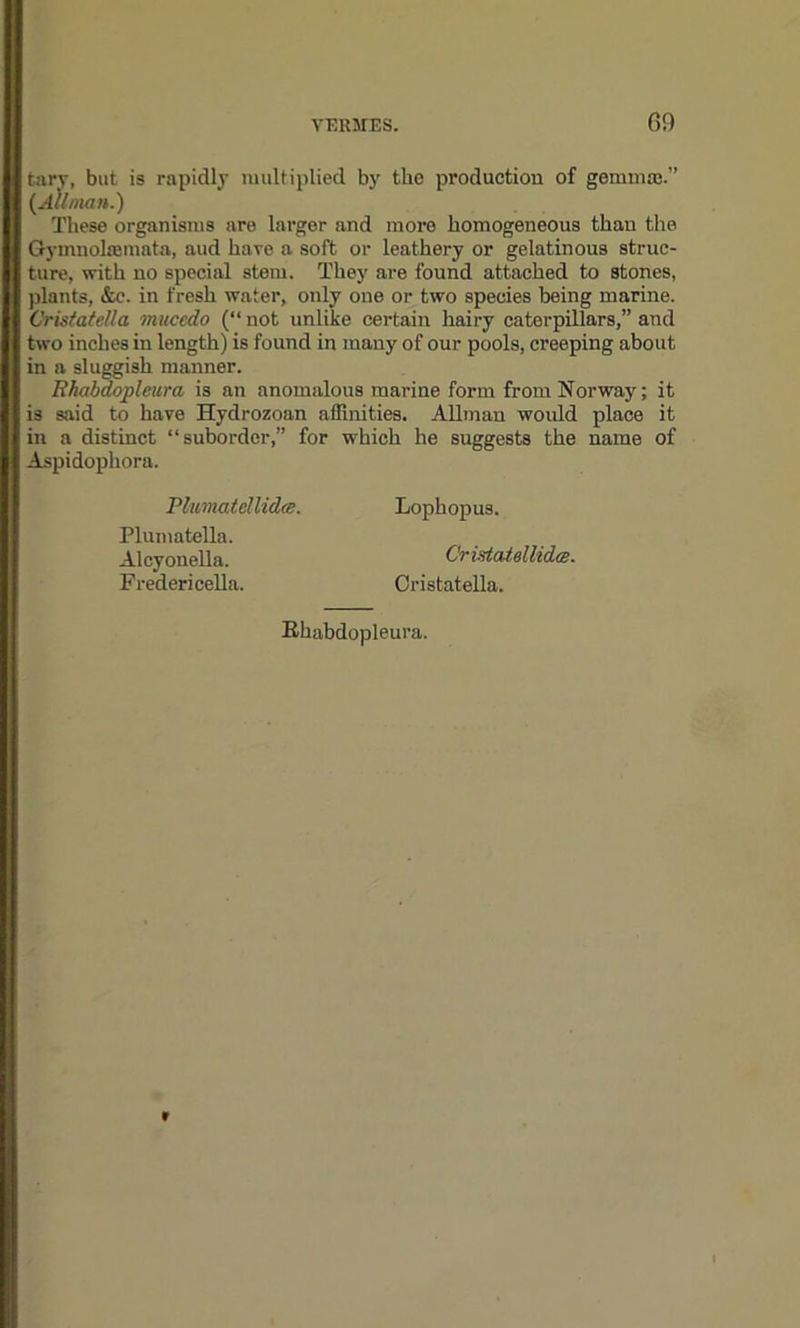 tary, but is rapidly multiplied by the production of gemma:.” {Allman.) These organisms are larger and more homogeneous than the Gymnohemata, aud have a soft or leathery or gelatinous struc- ture, with no special stem. They are found attached to stones, plants, &e. in fresh water, only one or two species being marine. Cristatella muccdo (“not unlike certain hairy caterpillars,” and two inches in length) is found in many of our pools, creeping about in a sluggish manner. Bhabdopleura is an anomalous marine form from Norway; it is said to have Hydrozoan affinities. Allman would place it in a distinct “suborder,” for which he suggests the name of Aspidophora. Plumatellidce. Lophopus. Cristatellida. Cristatella. Plumatella. Alcyonella. Fredericella. Bhabdopleura. »