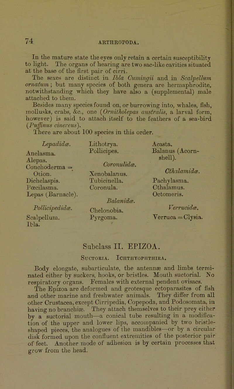 In the mature state the eyes only retain a certain susceptibility to light. The organs of hearing are two sac-like cavities situated at the base of the first pair of cirri. The sexes are distinct in Ibla Cumingii and in Scalp ell-urn ornatum; but many species of both genera are hermaphrodite, notwithstanding which they have also a (supplemental) male attached to them. Besides many species found on, or burrowing into, whales, fish, mollusks, crabs, &c., one (Ornitholcpas australis, a larval form, however) is said to attach itself to the feathers of a sea-bird (Puffmus cinereus). There are about 100 species in this order. Lepadidce. Anelasma. Alepas. Conch oderma = Otion. Dichelaspis. Pcecilasma. Lepas (Barnacle). \ Pol Helped ida. Scalpellum. Ibla. Lithotrya. Pollicipes. Coronulidte. Xenobalanus. Tubicinella. Coronula. Balanidm. Chelonobia. Pyrgoma. Acasta. Balanus (Acorn- shell). Cth'damidm. Pachylasma. Cthalamus. Octomeris. Verrucidee. Verruca =Clysia. Subclass II. EPIZOA. SUCTORIA. ICHTHYOPIITHIRA. Body elongate, subarticulate, the antenna; and limbs termi- nated either by suckers, hooks, or bristles. Mouth suctorial. No respiratory organs. Females with external pendent ovisacs. The Epizoa are deformed and grotesque ectoparasites of fish and other marine and freshwater animals. They differ from all other Crustacea, except Cirripedia, Copepoda, and Podosomata, in having no branchite. They attach themselves to their prey either by a suctorial mouth—a conical tube resulting in a modifica- tion of the upper and lower lips, accompanied by two bristle- shaped pieces, the analogues of the mandibles—or by a circular disk formed upon the confluent extremities of the posterior pair of feet. Another mode of adhesion is by certain processes that grow from the head.