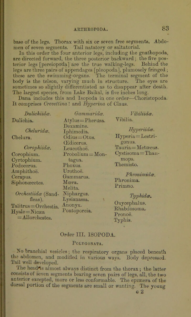 S3 base of the legs. Thorax with six or seven free segments. Abdo- men of seven segments. Tail natatory or saltatorial. In this order the four anterior legs, including the gnathopoda, are directed forward, the three posterior backward ; the five pos- terior legs [pereiopoda] are the true walking-legs. Behind the legs are three pairs of appendages [pleopoda], plumosely fringed ; these are the swimming-organs. The terminal segment of the body is the telson, varying much in structure. The eyes are sometimes so slightly differentiated as to disappear after death. The largest species, from Lake Baikal, is five inches long. Dana includes this and Isopoda in one order—Choristopoda. It comprises Crcvettina! and Hypcrina of Claus. D-ulichiidce. Dulichia. Cheluridce. Chelura. Corophiida. Corophium. Cyrtophium. Podocerus. Amphithoe. Cerapus. Siphonoecetes. Orchestiidm (Sand- fleas). Talitrus=Orchestia. Hyale=Nica» =Allorchestes. GammaridcB. At.ylus=Pherusa. Dexamine. Iphimedia. Odius=Otus. GEdicerus. Leucothoe. Proboli um=Mon- tagua. Phoxus. Urothoe. Gammarus. Moera. Melita. Niphargus. Lysianassa. Anonyx. Pontoporeia. Vibiliidce. Vibilia. Iiyperiida. Hyperia = Lestri- gonus. Tauria= Metoecus. Cystisoma=Thau mops. Themisto. Phronimida. Phronima. Primno. Typhidm. Oxycephalus. Rhabdosoma. Pronoe. Typhis. Order III. ISOPODA. POLYGONATA. No branchial vesicles; the respiratory organs placed beneath the abdomen, and modified in various ways. Body depressed. Tail well developed. The head*is almost always distinct from the thorax; the latter consists of seven segments bearing seven pairs of legs, all, the two anterior excepted, more or less conformable. The epimera of the dorsal portion of the segments are small or wanting. The young a 2