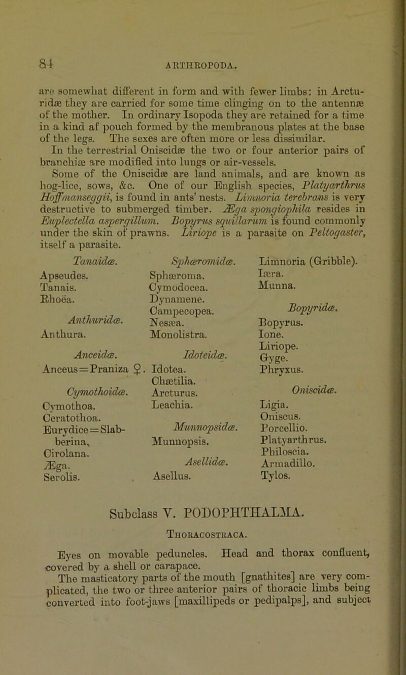 are somewhat different in form and with fewer limbs: in Arctu- ridse they are carried for some time clinging on to the antennae of the mother. In ordinary Isopoda they are retained for a time in a kind af pouch formed by the membranous plates at the base of the legs. The sexes are often more or less dissimilar. In the terrestrial Oniscidse the two or four anterior pairs of branchiae are modified into lungs or air-vessels. Some of the Oniscidse are land animals, and are known as hog-lice, sows, &c. One of our English species, Platyartlirus Hoffmanseggii, is found in ants’ nests. Limnoria terebram is very destructive to submerged timber. JEga spongiopliila resides in Euplectclla aspergillum. Bopyrus squi/larum is found commonly under the skin of prawns. Liriope is a parasite on Peltogasier, itself a parasite. Tanaidce. Apseudes. Tanais. K.hoea. Antliuridce. Anthura. Anceiclce. Anceus=Praniza 5 ■ Cynwthoidce. Cymothoa, Ceratothoa. Eurydice=Slab- berina. Cirolana. iEga. Serolis. Spliceremidee. Sphairoma. Cymodocea. Dynamene. Campecopea. Nesma. Monolistra, Idoteidce. Idotea. Chsetilia. Arcturus. Leachia. Munnopsidce. Munnopsis. AseUidce. Asellus. Limnoria (dribble). Imra. Munna. Bopyridce. Bopyrus. lone. Liriope. Gyge. Pliryxus. Oniscidce. Ligia. Oniscus. Porcellio. Platyarthrus. Philoscia. Armadillo. l'ylos. Subclass Y. PODOPHTHALMA. Thokacostkaca. Eyes on movable peduncles. Head and thorax confluent, covered by a shell or carapace. The masticatory parts of the mouth [gnathites] are very com- plicated, the two or three anterior pairs of thoracic limbs being converted into foot-jaws [maxillipeds or pedipalps], and subject
