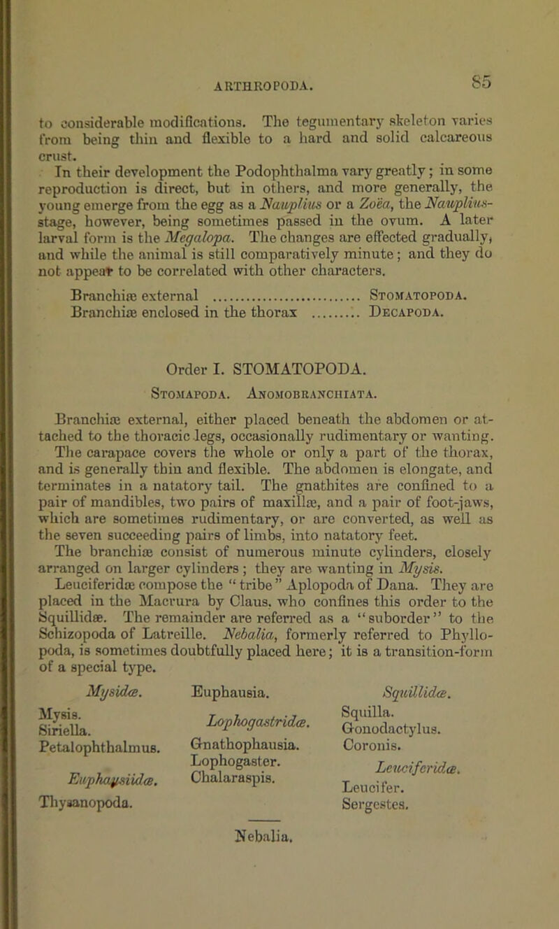 to considerable modifications. The tegmnentary skeleton varies from being thin and flexible to a hard and solid calcareous crust. In their development the Podophthalma vary greatly; in some reproduction is direct, but in others, and more generally, the young emerge from the egg as a Nav/plius or a Zo'ea, the Nav/plius- stage, however, being sometimes passed in the ovum. A later larval form is the Megalopa. The changes are effected gradually) and while the animal is still comparatively minute; and they do not appeat to be correlated with other characters. Branchiae external Stomatopoda. Branchiae enclosed in the thorax Decapoba. Order I. STOMATOPODA. Stomapoda. Anomobranchiata. Branchiae external, either placed beneath the abdomen or at- tached to the thoracic legs, occasionally rudimentary or wanting. The carapace covers the whole or only a part of the thorax, and is generally thin and flexible. The abdomen is elongate, and terminates in a natatory tail. The gnathites are confined to a pair of mandibles, two pairs of maxilla:, and a pair of foot-jaws, which are sometimes rudimentary, or are converted, as well as the seven succeeding pairs of limbs, into natatory feet. The branchiae consist of numerous minute cylinders, closely arranged on larger cylinders ; they are wanting in Mysis. Leueiferidce compose the “ tribe ” Aplopoda of Dana. They are placed in the Maerura by Claus, who confines this order to the Squillido:. The remainder are referred as a “suborder” to the Schizopoda of Latreille. Nebalia, formerly referred to Phyllo- poda, is sometimes doubtfully placed here; it is a transition-form of a special type. Mysidce. Mysis. Siriella. Petalophthalmus. EuphapsUdw. Thysanopoda. Euphausia. Lophogastridce. Gnathophausia. Lophogaster. Chalaraspis. Squillidce. Squilla. Gonodactylus. Coronis. Leueiferidce. Leucifer. Sergestes. Jfebalia.