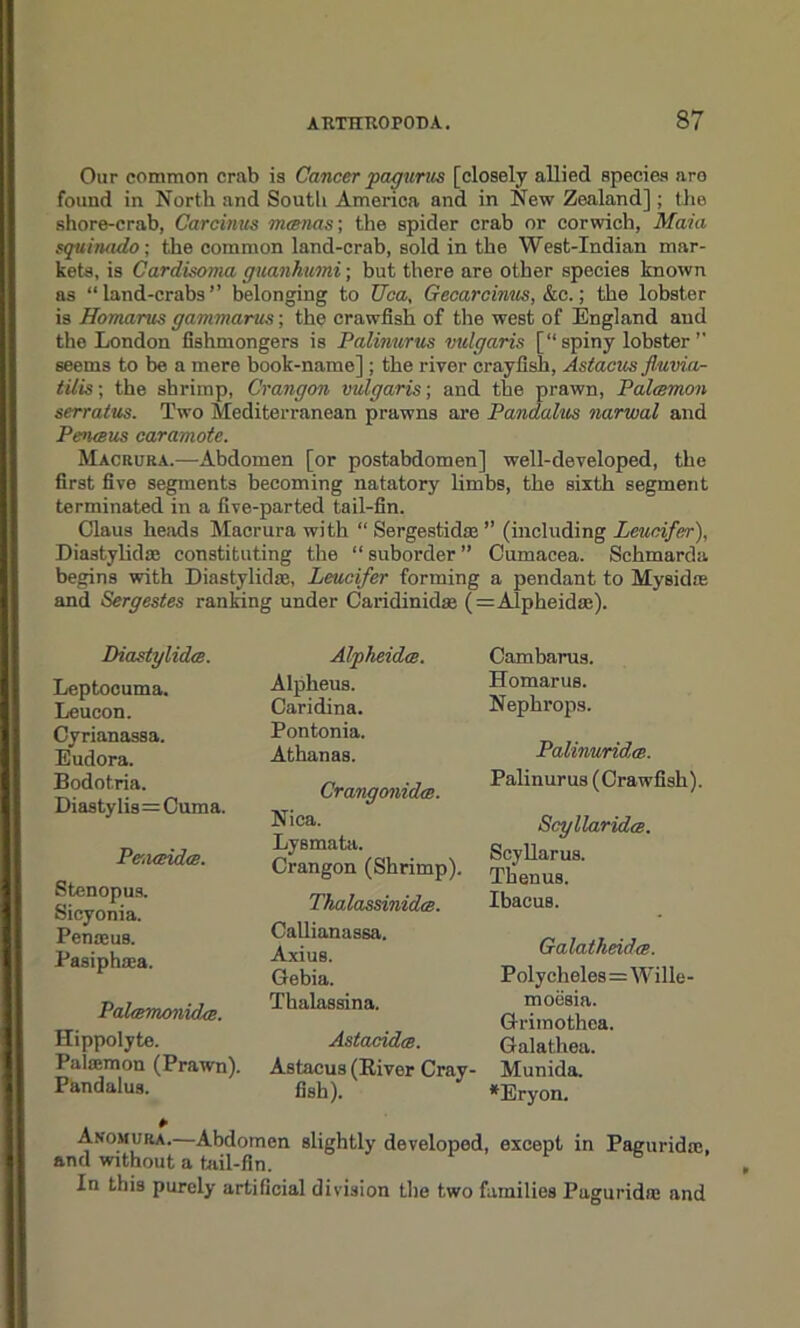 Our common crab is Cancer pagurus [closely allied species aro found in North and South America and in New Zealand]; the shore-crab, Carcinus memos; the spider crab or corwich, Main sqvinado; the common land-crab, sold in the West-Indian mar- kets, is Cardisoma guanhumi; but there are other species known as “land-crabs” belonging to Uca, Gecarcinus, &c.; the lobster is Homanis gammarus; the crawfish of the west of England and the London fishmongers is Palinurus vulgaris [“spiny lobster” seems to be a mere book-name] ; the river crayfish, Astacus fluvia- tUk; the shrimp, Crangon vulgaris; and the prawn, Palcemon serratus. Two Mediterranean prawns are Pandalus narwal and Penueus caramote. Macrura.—Abdomen [or postabdomen] well-developed, the first five segments becoming natatory limbs, the sixth segment terminated in a five-parted tail-fin. Claus heads Macrura with “ Sergestidas ” (including Leunifer), Diastylidse constituting the “suborder” Cumacea. Schmarda begins with Diastylidas, Leucifer forming a pendant to Mysidas and Sergestes ranking under Caridinidse (=Alpheidae). Diastylidce. Leptocuma. Leucon. Cyrianassa. Eudora. Bodotria. Diastylis=Cuma. Penaidce. Stenopus. Sicyonia. Penoeus. Pasiphaa. Palcerrwnidte. Hippolyte. Pulasmon (Prawn). Pandalus. Alpheidm. Alpheus. Caridina. Pontonia. Athanas. Crangonidte. Nica. Lysmata. Crangon (Shrimp). Thalassinidce. Callianassa. Axius. Gebia. Thalassina. Astacidce. Astacus (River Cray- fish). Cambarus. Homarus. Nephrops. Palinuridm. Palinurus (Crawfish). ScyllaridcB. Scyllarus. Thenus. Ibacus. Galatheidee. Polycheles=Wille- moiisia. Grimothea. Galathea. Munida. *Eryon. Anomura.—Abdomen slightly developed, except in Paguridre, and without a tail-fin. In this purely artificial division the two families Paguridre and