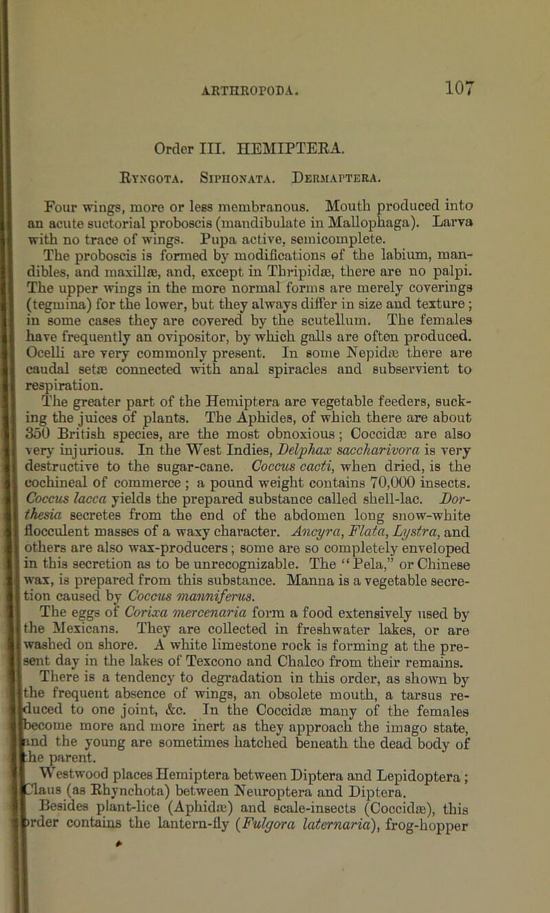 Order III. HEMIPTEEA. EyXGOTA. SlPHONATA. DeRMAI'TERA. Four wings, more or less membranous. Mouth produced into an acute suctorial proboscis (mandibulate in Mallophaga). Larva with no trace of wings. Pupa active, semicomplete. The proboscis is formed by modifications of the labium, man- dibles, and maxilla;, and, except in Thripidae, there are no palpi. The upper wings in the more normal forms are merely coverings (tegmina) for the lower, but they always differ in size and texture; in some cases they are covered by the scutellum. The females have frequently an ovipositor, by which galls are often produced. Ocelli are very commonly present. In some Nepkhe there are caudal setae connected with anal spiracles and subservient to respiration. The greater part of the Hemiptera are vegetable feeders, suck- ing the juices of plants. The Aphides, of which there are about 350 British species, are the most obnoxious; Ooccidae are also very injurious. In the West Indies, Delphax sacckariuora is very destructive to the sugar-cane. Coccus cacti, when dried, is the cochineal of commerce ; a pound weight contains 70,000 insects. Coccus lacca yields the prepared substance called shell-lac. Dor- thesia secretes from the end of the abdomen long snow-white flocculent masses of a waxy character. Ancyra, Flata, Lystra, and others are also wax-producers; some are so completely enveloped in this secretion as to be unrecognizable. The “Pela,” or Chinese wax, is prepared from this substance. Manna is a vegetable secre- tion caused by Coccus manniferus. The eggs of Corixa mercenaria form a food extensively used by the Mexicans. They are collected in freshwater lakes, or are washed on shore. A white limestone rock is forming at the pre- sent day in the lakes of Texcono and Chaleo from their remains. There is a tendency to degradation in this order, as shown by the frequent absence of wings, an obsolete mouth, a tarsus re- uced to one joint, &e. In the Coccidas many of the females ccome more and more inert as they approach the imago state, nd the young are sometimes hatched beneath the dead body of he parent. Westwood places Hemiptera between Diptera and Lepidoptera; aus (as Ebynchota) between Neuroptera and Diptera. Besides plant-lice (Aphkke) and scale-insects (Coccidm), this rder contains the lantern-fly (Fulgora laternaria), frog-hopper
