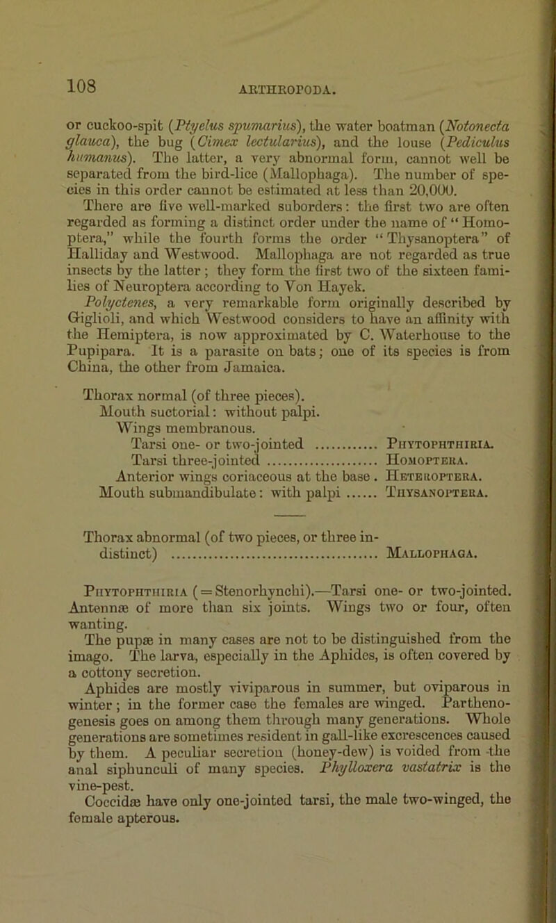 or cuckoo-spit (Ptyelus spumarius), the water boatman (Notonecta glauca), the bug (Cimex lectularius), and the louse (Pediculus humanus). The latter, a very abnormal form, cannot well be separated from the bird-lice (Mallophaga). The number of spe- cies in this order cannot be estimated at less than 20,000. There are live well-marked suborders: the first two are often regarded as forming a distinct order under the name of “ Hoino- ptera,” while the fourth forms the order “ Tliysanoptera” of Halliday and Westwood. Mallophaga are not regarded as true insects by the latter ; they form the first two of the sixteen fami- lies of Neuroptera according to Von Hayek. Polyctenes, a very remarkable form originally described by Giglioli, and which Westwood considers to have an affinity with the Hemiptera, is now approximated by C. Waterhouse to the Pupipara. It is a parasite on bats; one of its species is from China, the other from Jamaica. Thorax normal (of three pieces). Mouth suctorial: without palpi. Wings membranous. Tarsi one- or two-jointed Phytophthiria. Tarsi three-jointed Homoptera. Anterior wings coriaceous at the base. Hetelioptera. Mouth submandibulate: with palpi Tuysanopteha. Thorax abnormal (of two pieces, or three in- distinct) Mallophaga. Phytophthiria (= Stenorhynchi).—Tarsi one- or two-jointed. Antenna; of more than six joints. Wings two or four, often wanting. The pupae in many cases are not to be distinguished from the imago. The larva, especially in the Aphides, is often covered by a cottony secretion. Aphides are mostly viviparous in summer, but oviparous in winter ; in the former case the females are winged. Partheno- genesis goes on among them through many generations. Whole generations are sometimes resident in gall-like excrescences caused by them. A peculiar secretion (honey-dew) is voided from -the anal siphunculi of many species. Phylloxera vastatrix is the vine-pest. Coccidaj have only one-jointed tarsi, the male two-winged, the female apterous.