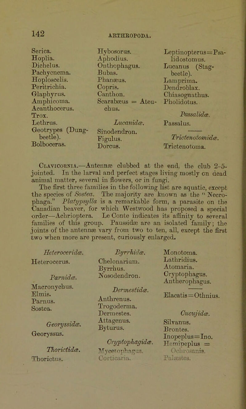 Serica. Hoplia. Dichelus. Pachycnema. Hoploscelis. Pcritrichia. Glaphyrus. Amphicoma. Acanthocerus. Trox. Lethrus. Geotrypes (Dung- beetle). Bolboceras. AETHEOPODA. Hybosorus. Apbodius. Onthophagus. Bubas. Phanajus. Copris. Cantbon. Searabajus = Ateu- cbus. Lucanida. Sinodendron. Figulus. Dorcu8. Leptinopterus=Psa- lidostomus. Lucanus (Stag- beetle). Lamprima. Dendroblax. Chiasognathus. Pholidotus. Passalidce. Passalus. Trictenotomidm. Trictenotoma. Clavicounia.—Antennas clubbed at the end. the club 2-5- jointed. In the larval and perfect stages living mostly on dead animal matter, several in flowers, or in fungi. The first three families in the following list are aquatic, except the species of Sostea. The majority are known as the “ Jiecro- phaga.” Platypsylla is a remarkable form, a parasite on the Canadian beaver, for which Westwood has proposed a special order—Achrioptera. Le Conte indicates its affinity to several families of this group. Paussidae are an isolated family; the joints of the antennae vary from two to ten, all, except the first two when more are present, curiously enlarged. Heteroceridce. Heterocerus. Parnidrc. Macronycbus. Elmis. Parnus. Sostea. Georyssidce. Georyssus. Thorictidm. Thorictus. Byrrhidce. Chelonarium. Byrrhus. Nosodendron. Dermcstidce. Anthrenus. Trogoderma. Dermestes. Attagenus. Byturus. Cryptophagidce. Mycetophagus. Corticaria. Monotonia. Lathridius. Atomaria. Cryptophagus. Antherophagus. Elacatis=Othnius. Cucujida. Silvanus. Brontes. Inopeplus=Ino. Hcmipeplus = Ochrosanis. Palmstes.