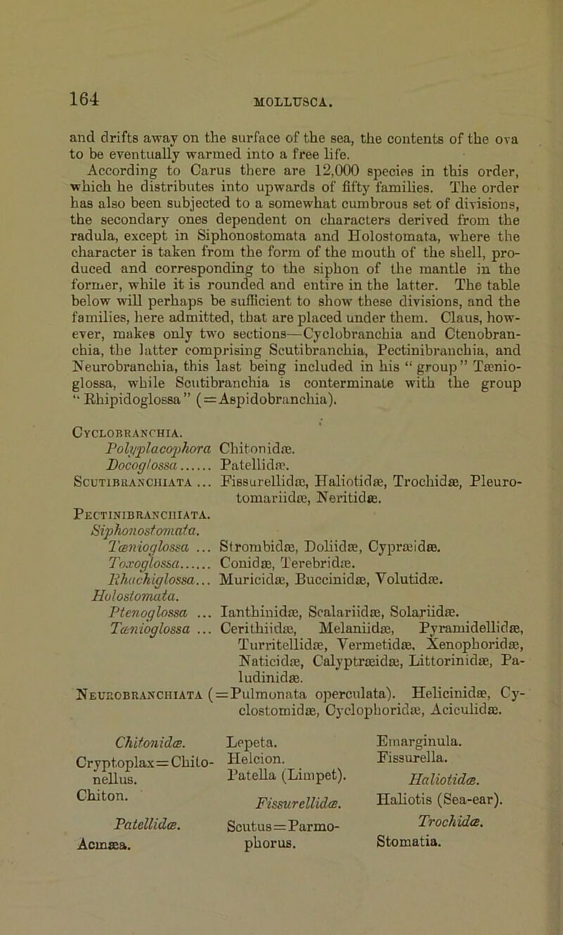 and drifts away on the surface of the sea, the contents of the ova to be eventually warmed into a free life. According to Carus there are 12,000 species in this order, which he distributes into upwards of fifty families. The order has also been subjected to a somewhat cumbrous set of divisions, the secondary ones dependent on characters derived from the radula, except in Siphonostomata and Holostomata, where the character is taken from the form of the mouth of the shell, pro- duced and corresponding to the siphon of the mantle in the former, while it is rounded and entire in the latter. The table below will perhaps be sufficient to show these divisions, and the families, here admitted, that are placed under them. Claus, how- ever, makes only two sections—Cyclobranchia and Ctenobran- chia, the latter comprising Scutibranchia, Pectinibranchia, and Neurobranchia, this last being included in his “ group” Tamio- glossa, while Scutibranchia is conterminaLe with the group “ Rhipidoglossa ” (=Aspidobranchia). Cyclobranchia. Polgplacojjhora Chitonidre. Docoglossa Patellida?. Scutibranchiata ... Fissurellid®, Haliotid®, Trochid®, Pleuro- tomariidre, Neritid®. Pectinibranciiiata. Siphonostomata. Tmnioglossa ... Strom bid®, Doliid®, Cypr®idre. Toxoglos&a Coni doe, Terebridic. lihackiglossa... Muricid®, Buecinid®, Yolutidre. Holostomata. Ptenoglossa ... Ianthinid®, Scalariid®, Solariid®. Tctnioglossa ... Cerithiid®, Melaniid®, Pyramidellid®, Turritellid®, Vermetid®, Xenophorid®, Natieid®, Calyptr®id®, Littorinid®, Pa- ludinid®. Neueobranciiiata ( = Pulmonata operculata). Helicinid®, Cy- clostomid®, Cyclophorid®, Aciculid®. Chitonidce. Crypt.oplax=Chito- nellus. Chiton. PatellidcB. Acmffia. Lepeta. Helcion. Patella (Limpet). Fissurcllidcs. Scutus=Parmo- phorus. Einarginula. Fissurella. Haliotidcs. Hahotis (Sea-ear). Trochidce. Stomatia.