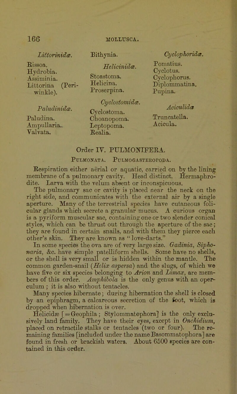 Littorinida. Rissoa. Hydrobia. Assiminia. Littorina (Peri- winkle). Paludinidts. Paludina. Ampullaria.. Valvata. Bithynia. Helicinidce. Stoastoma. Helicina. Proserpina. Cyclostomidas. Cyclostoma. Choanopoma. Leptopoma. Realia. Cyclophorida. Pomatius. Cyelotus. Cyclophorus. Diplommatina. Pupina. Aciculidcs Truncatella. Acicula. Order IY. PULMONIFERA. PULMONATA. PuLMOGASTEROPODA. Respiration either aerial or aquatic, carried on by the lining membrane of a pulmonary cavity. Head distinct. Hermaphro- dite. Larva with the velum absent or inconspicuous. The pulmonary sac or cavity is placed near the neck on the right side, and communicates with the external air by a single aperture. Many of the terrestrial species have cutaneous foli- cular glands which secrete a granular mucus. A curious organ is a pyriform muscular sac, containing one or two slender conical styles, which can be thrust out through the aperture of the sac; they are found in certain snails, and with them they pierce each other’s skin. They are known as “ love-darts.” In some species the ova are of very large size. Gadinia, Sipko- naria, &c. have simple patelliform shells. Some have no shells, or the shell is very small or is hidden within the mantle. The common garden-snail {Helix aspersa) and the slugs, of which we have five or six species belonging to Arion and Umax, are mem- bers of this order. Amphibola is the only genus with an oper- culum ; it is also without tentacles. Many species hibernate; during hibernation the shell is closed by an epiphragm, a calcareous secretion of the Soot, which is dropped when hibernation is over. Helicidfe [ = Geophila; Stylommatophora] is the only exclu- sively land family. They have their eyes, except in Onchidium, placed on retractile stalks or tentacles (two or four). The re- maining families [included under the name Basommatophora] are found in fresh or brackish waters. About 6500 species are con- tained in this order.