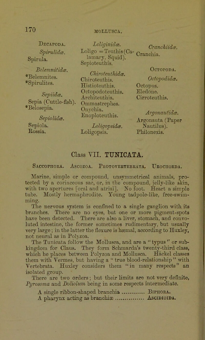 MOLLTJSCA. Decapoda. Spirulida. Spirilla. BclemnitidcB. *Belemnites. *Spirulites. Sepiidee. Sepia (Cuttle-fish). *Belosepia. Scpiolidm. Sepiola. Eossia. Loliginidce. Loligo =Teuthis(Ci lamary, Squid). Sepioteuthis. Chiroteuthidm. Chiroteuthis. Histioteuthis. Oetopodoteuthis. Arcbiteuthis. Ommastrephes. Onychia. Enoploteuthis. Lolifjop sides. Loligopsis. Cranchiidce. Cranchia. Octopoda. OctopodidcB. Octopus. Eledone. Cirroteuthis. ArgonaufidtB. Argonauta (Paper Nautilus). Philonexis. Class YII. TUNICATA. SACCOPnORA. AsCOZOA. PrOTOVERTEBRATA. UrOCIIORDA. Marine, simple or compound, unsymmetrical animals, pro- tected by a coriaceous sac, or, in the compound, jelly-like skin, with two apertures [oral and atrial]. No foot. Heart a simple tube. Mostly hermaphrodite. Young tadpole-like, free-swim- ming. The nervous system is confined to a single ganglion with its branches. There are no eyes, but one or more pigment-spots have been detected. There are also a liver, stomach, and convo- luted intestine, the former sometimes rudimentary, but usually very large; in the latter the flexure is haemal, according to Huxley, not neural as in Poly zoa. The Turdeata follow the Mollusea, and are a “ typus ” or sub- kingdom for Claus. They form Schmarda’s twenty-third class, which he places between Polyzoa and Mollusea. Hackel classes them with Vermes, but having a “ true blood-relationship ” with Vertebrata. Huxley considers them “ in many respects ” an isolated group. There are two orders; but their limits are not very definite, Pyrosoma and Doliolum being in some respects intermediate. A single ribbon-shaped branchia Biphora. A pharynx acting as bronchi® Ascidioida.