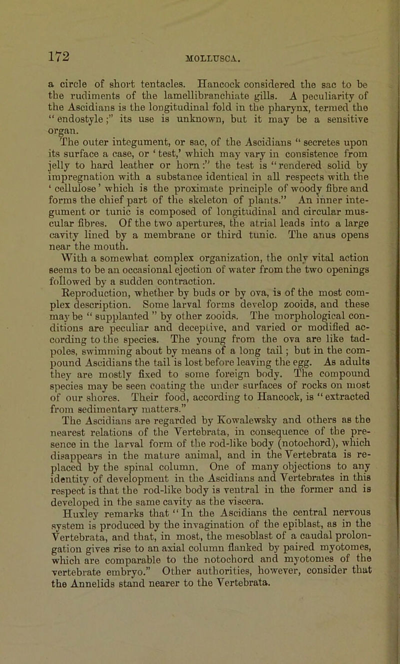 a circle of short tentacles. Hancock considered the sac to be the rudiments of the lamellibranchiate gills. A peculiarity of the Ascidians is the longitudinal fold in the pharynx, termed the “ endostyleits use is unknown, but it may be a sensitive organ. The outer integument, or sac, of the Ascidians “ secretes upon its surface a case, or ‘ test,’ which may vary in consistence from jelly to hard leather or horn:” the test is “rendered solid by impregnation with a substance identical in all respects with the 1 cellulose ’ which is the proximate principle of woody fibre and forms the chief part of the skeleton of plants.” An inner inte- gument or tunic is composed of longitudinal and circular mus- cular fibres. Of the two apertures, the atrial leads into a large cavity lined by a membrane or third tunic. The anus opens near the mouth. With a somewhat complex organization, the only vital action seem3 to be an occasional ejection of water from the two openings followed by a sudden contraction. Reproduction, whether by buds or by ova, is of the most com- plex description. Some larval forms develop zooids, and these maybe “ supplanted ” by other zooids. The morphological con- ditions are peculiar and deceptive, and varied or modified ac- cording to the species. The young from the ova are like tad- poles, swimming about by means of a long tail; but in the com- pound Ascidians the tail is lost before leaving the egg. As adults they are mostly fixed to some foreign body. The compound species may be seen coating the under surfaces of rocks on most of our shores. Their food, according to Hancock, is “ extracted from sedimentary matters.” The Ascidians are regarded by Kowalewsky and others as the nearest relations of the Yertebrata, in consequence of the pre- sence in the larval form of the rod-like body (notochord), which disappears in the mature animal, and in the Vertebrata is re- placed by the spinal column. One of many objections to any identity of development in the Ascidians and Vertebrates in this respect is that the rod-like body is ventral in the former and is developed in the same cavity as the viscera. Huxley remarks that “ In the Ascidians the central nervous system is produced by the invagination of the epiblast, as in the Vertebrata, and that, in most, the mesoblast of a caudal prolon- gation gives rise to an axial column flanked by paired myotomes, which are comparable to the notochord and myotomes of the vertebrate embryo.” Other authorities, however, consider that the Annelids stand nearer to the Vertebrata.