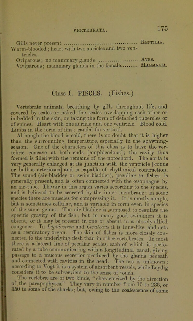 Gills never present Kei’tilia. Warm-blooded; heart with two auricles and two ven- tricles. Oviparous; no mammary glands Aves. Viviparous; mammary glands in the female Mammalia. Class I. PISCES. (Fishes.) Vertebrate animals, breathing by gills throughout life, and covered by scales or naked, the scales overlapping each other or imbedded in the skin, or taking the form of detached tubercles or of spines. Heart with one auricle and one ventricle. Blood cold. Limbs in the form of fins; caudal fin vertical. Although the blood is cold, there is no doubt that it is higher than the surrounding temperature, especially in the spawning- season. One of the characters of this class is to have the ver- tebra concave at both ends [amphiccelous]; the cavity thus formed is filled with the remains of the notochord. The aorta is very generally enlarged at its junction with the ventricle [conus or bulbus arteriosus] and is capable of rhythmical contraction. The sound (air-bladder or swim-bladder), peculiar to fishes, is generally present, and is often connected with the oesophagus by an air-tube. The air in this organ varies according to the species, and is believed to be secreted by the inner membrane; in some species there are muscles for compressing it. It is mostly simple, but is sometimes cellular, and is variable in form even in species of the same genus. The air-bladder is .supposed to regulate the specific gravity of the fish ; but in many good swimmers it is absent, or it may be present in one or absent in a closely allied congener. In Lepidosiren and Ceratodus it is lung-like, and acts as a respiratory organ. The skin of fishes is more closely con- nected to the underlying flesh than in other vertebrates. In most there is a lateral line of peculiar scales, each of which is perfo- rated by a tube communicating with a longitudinal canal, giving passage to a mucous secretion produced by the glands beneath and connected with cavities in the head. The use is unknown ; according to Vogt it is a system of absorbent vessels, while Leydig considers it to be subservient to the sense of touch. The vertebra are of two kinds, “ characterized by the direction of the parapophyses.” They vary in number from 15 to 236, or 350 in some of the sharks; but, owing to the coalescence of some