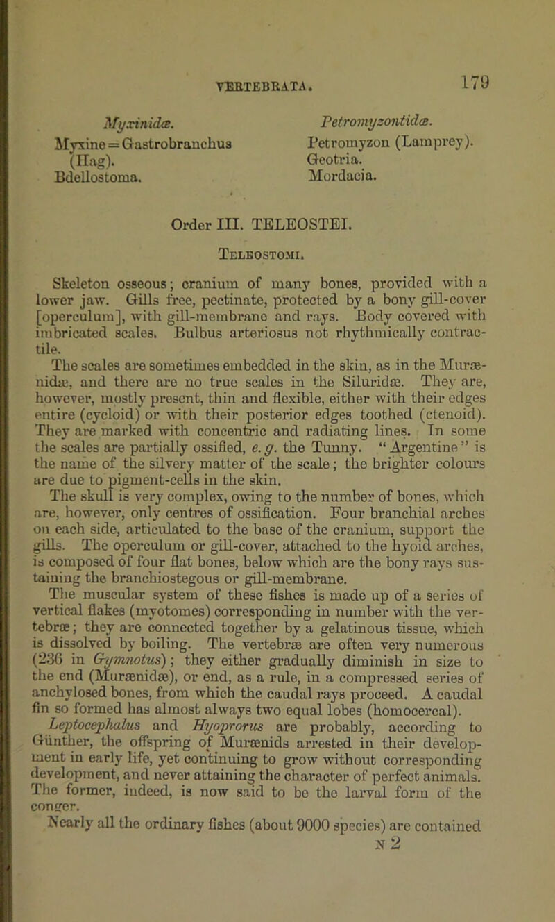 Bdollostoma. Myxino = Gastrobranchus (Hag). My.rinid.ee. Petromyzontidce. Petromyzon (Lamprey). Geotria. Mordaeia. Order III. TELEOSTEI. Teleostomi. Skeleton osseous; cranium of many bones, provided with a lower jaw. Gills free, pectinate, protected by a bony gill-cover [operculum], with gill-membrane and rays. Body covered with imbricated scales. Bulbus arteriosus not rhythmically contrac- The scales are sometimes embedded in the skin, as in the Murre- nidm, and there are no true scales in the Siluridffi. They are, however, mostly present, thin and flexible, either with their edges entire (cycloid) or with their posterior edges toothed (ctenoid). They are marked with concentric and radiating lines. In some the scales are partially ossified, e.g. the Tunny. “Argentine” is the name of the silvery matter of the scale; the brighter colours are due to pigment-cells in the skin. The skull is very complex, owing to the number of bones, which are, however, only centres of ossification. Four branchial arches on each side, articulated to the base of the cranium, support the gills. The operculum or gill-cover, attached to the hyoid arches, is composed of four flat bones, below which are the bony rays sus- taining the branchiostegous or gill-membrane. The muscular system of these fishes is made up of a series of vertical flakes (mvotomes) corresponding in number with the ver- tebrae ; they are connected together by a gelatinous tissue, which is dissolved by boiling. The vertebrae are often very numerous (236 in Grymnotus); they either gradually diminish in size to the end (Muramidas), or end, as a rule, in a compressed series of anchylosed bones, from which the caudal rays proceed. A caudal fin so formed has almost always two equal lobes (homocercal). Leptocephalus and Hy opr or us are probably, according to Gunther, the offspring of Murscnids arrested in their develop- ment in early life, yet continuing to grow without corresponding development, and never attaining the character of perfect animals. The former, indeed, is now said to be the larval form of the confer. Nearly all tho ordinary fishes (about 9000 species) are contained tile.