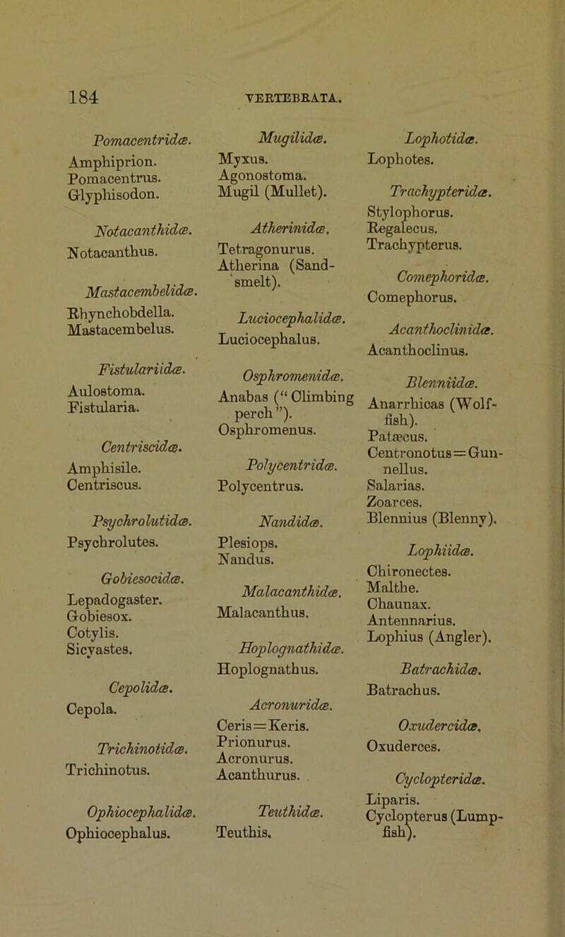 PomacentridcB. Amphiprion. Pomacentrus. Glyphisodon. Notacanthidas. Notacanthus. Mcistacembelida. Rhynchobdella. Mastacembelus. Fistulariida. Aulostoma. Fistularia. Centriscidee. Amphisile. Centriscus. PsychrolutidcB. Psycbrolutes. Gobiesocida. Lepadogaster. Gobiesox. Cotylis. Sicvastes. Cepolidts. Cepola. Trichinotklm. Trichinotus. Ophiocephalidce. Ophiocephalus. Mugilidce. Myxus. Agonostoma. Mugil (Mullet). Atherinida. Tetragonurus. Atherina (Sand- ' smelt). Luciocephalida. Luciocephalus. Osphromenidtu. Anabas (“Climbing perch ”). Osphromenus. Polycentrida. Polycentrus. Nandidae. Plesiops. Nandus. Malacanthidce. Malacanthus. Hoplognathidce. Hoplognathus. Acronuridm. Ceris=Keris. Prionurua. Acronurus. Acanthurus. TeuthidcB. Teuthis. Lophotidce. Lopbotes. Trachypterida. Stylophorus. Regalccus. Traehypterus. ComephoridcB. Comephorus. Acanthoclinida. Acanthoclinus. Blenniidce. Anarrhicas (Wolf- fish). Patsecus. Cenxronotus=Guu nellus. Salarias. Zoarces. Blennius (Blenny). Lophiid<b. Chironeetes. Malthe. Chaunax. Antennarius. Lophius (Angler). Batrachidce. Batrachus. Oxudercidce. Oxuderces. Cyclopteridce. Liparis. Cyclopterus (Lump fish).