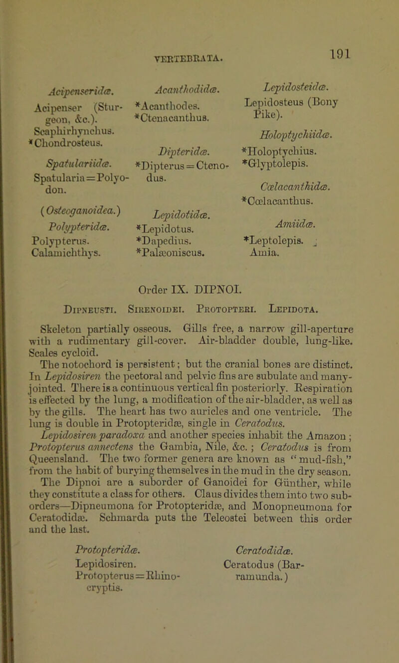 Acipenserida. Acipenser (Stur- geon, &c.). Scaphii-hynehus. * Chondrosteus. Spatulariides. Spatularia=Polyo- don. (Osteoganoidea.) Polypteridm. Polyp terus. Calainichthys. Acanthodidee. *Acanthodes. *Ctenacanthua. Pipteridce. *D ip ter us = Ctono- dus. Lcpidotidce. *Lepidotus. *Dapedius. *Pabconiscus. Lepido&teida. Lepidosteus (Bony Pike). Holoptychiidw. *Holoptychius. *Glyptolepis. Ccelacanthida. *Ccelacanthus. AmiidcB. *Leptolepis. j Ainia. Order IX. DIPNOI. DlPNEUSTX. SlRENOlDEI. PrOTOPTEEI. IyEPIDOTA. Skeleton partially osseous. Gills free, a narrow gill-aperture with a rudimentary gill-cover. Air-bladder double, lung-like. Scales cycloid. The notochord is persistent; but the cranial bones are distinct. In Lepidosifen the pectoral and pelvic fins are subulate and many- jointed. There is a continuous vertical fin posteriorly. Respiration is effected by the lung, a modification of the air-bladder, as well as by the gills. The heart has two auricles and one ventricle. The lung is double in Protopteridm, single in Ceratodus. Lepidosirc-n paradoxa and another species inhabit the Amazon ; Protoptcrus annectens the Gambia, Nile, &c.; Ceratodus is from Queensland. The two former genera are known as “ mud-fish,” from the habit of burying themselves in the mud in the dry season. The Dipnoi are a suborder of Ganoidei for Gunther, while they constitute a class for others. Claus divides them into two sub- orders—Dipneumona for Protopteridic, and Monopneumona for Ceratodida;. Schmarda puts the Teleostei between this order and the last. Protopteridce. Lepidosiren. Protopterus=Rliino- cryptis. Ceratodidce. Ceratodus (Bar- ram unda. )