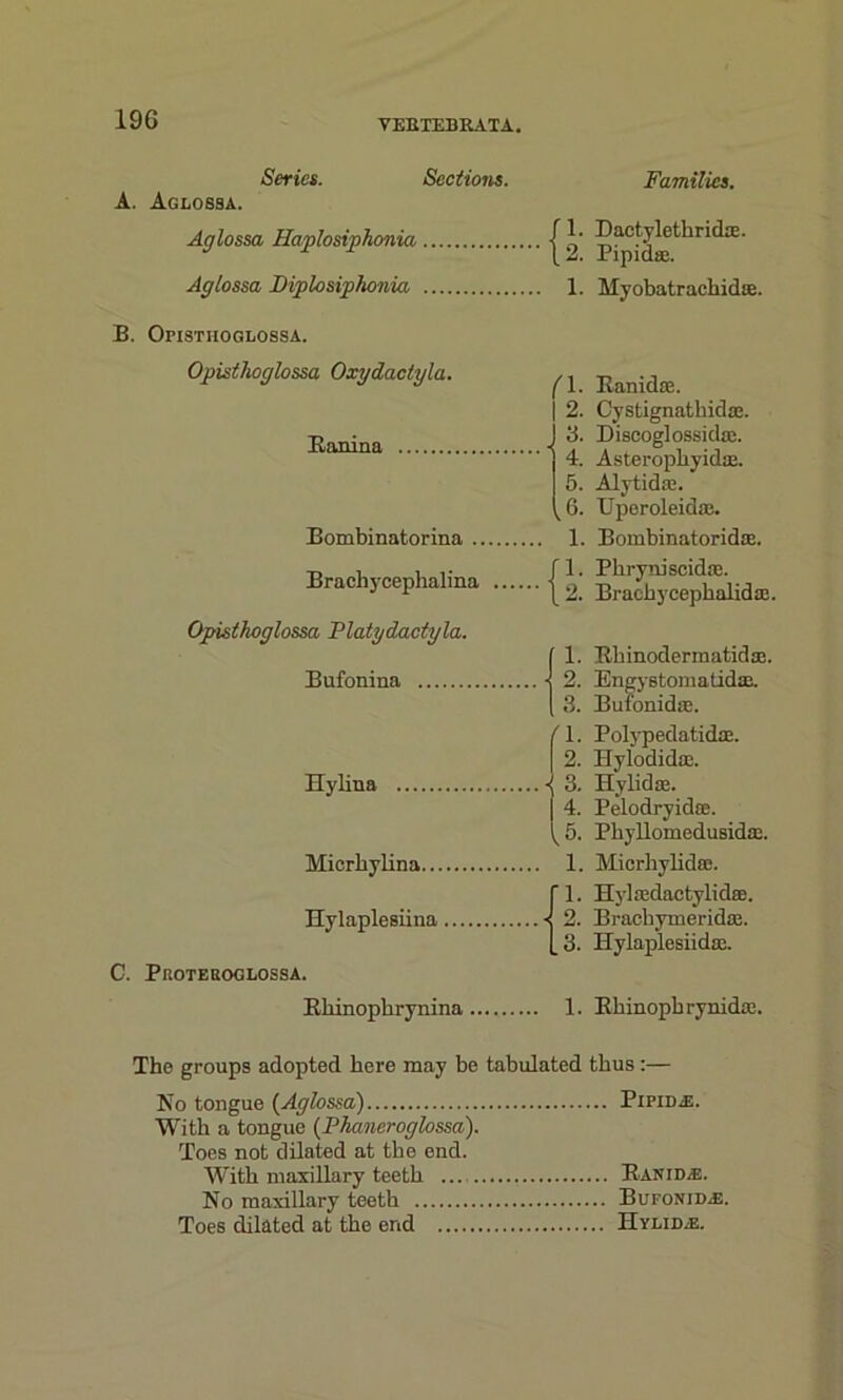 19G Series. Sections. Families. A. Aglossa. Aglossa Haplosiphonia {*■ Aglossa Diplosiphonia 1. Myobatrackid®. B. Opisthoglossa. Opisthoglossa Oxgdactyla. Kanina Eombinatorina (1. Ranid®. 2. Cystignatkid®. 3. Discoglossid®. 4. Asteropliyid®. 5. Alytid®. k6. TJporoleid®. 1. Bombinatoridse. Bracliycephalina 1. Pkryniscid®. 2. Brackycepkalid®. Opisthoglossa Platydactyla. Bufonina Hylina Micrbylina Hylaplesiina ..., C. Proteroglossa. {1. Rhinodermatid®. 2. Engystomatid®. 3. Butonid®. ' 1. Polypedatid®. 2. Hylodid®. • 3. Hylid®. 4. Pelodryid®. k 5. Phyllomedusid®. 1. Micrhylid®. fl. Hyl®dactylid®. ■< 2. Bracbymerid®. [3. Hylaplesiid®. Kbinophrynina 1. Rhinopkrynid®. The groups adopted here may be tabulated thus :— No tongue (Aglossa) Pipida;. With a tongue (Phaneroglossa). Toes not dilated at the end. With maxillary teeth ..., Rani da. No maxillary teeth Bufonida:. Toes dilated at the end Halida.