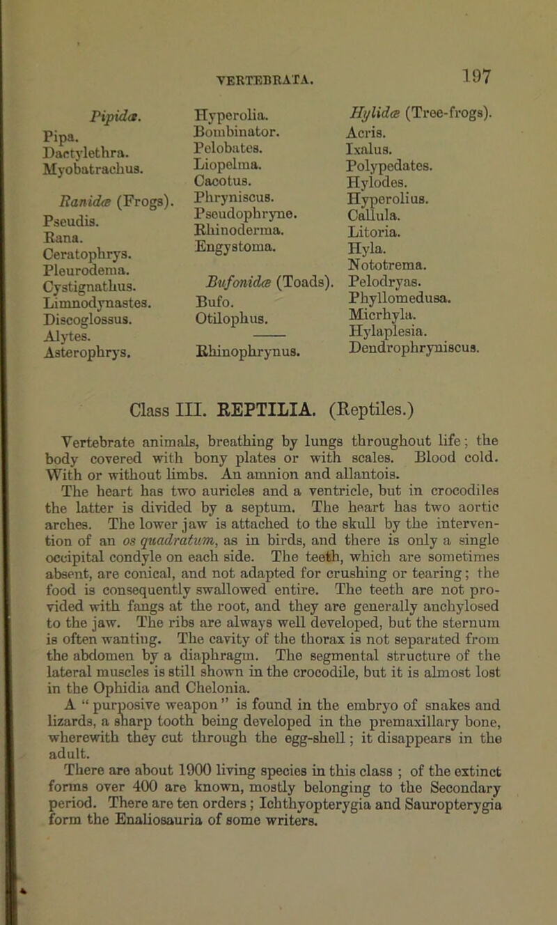 Pipidtt. Pipa. Daetylethra. Myobatrachus. Banidee (Frogs). Pseudis. Buna. Ceratophrys. Pleurodetna. Cystignatlius. Limnodynastes. Discoglossus. Alytes. Asterophrys. Hyperolia. Bombinator. Pelobates. Liopelma. Cacotus. Phryniscus. Pseudophryne. Bliinoderma. Engystoma. Bufonida (Toads). Bufo. Otilophus. Rhinophrynus. 197 Hi/lid(E (Tree-frogs). Acris. Ixalus. Polypedates. Hylodes. Hyperolius. Caliula. Litoria. Hyla. Nototrema. Pelodryas. Phyllomedusa. Micrhyla. Hylaplesia. Dendrophryniscus. Class in. REPTILIA. (Reptiles.) Vertebrate animals, breathing by lungs throughout life; the body covered with bony plates or with scales. Blood cold. With or without limbs. An amnion and allantois. The heart has two auricles and a ventricle, but in crocodiles the latter is divided by a septum. The heart has two aortic arches. The lower jaw is attached to the skull by the interven- tion of an os quadratum, as in birds, and there is only a single occipital condyle on each side. The teeth, which are sometimes absent, are conical, and not adapted for crushing or tearing; the food is consequently swallowed entire. The teeth are not pro- vided with fangs at the root, and they are generally anchylosed to the jaw. The ribs are always well developed, but the sternum is often wanting. The cavity of the thorax is not separated from the abdomen by a diaphragm. The segmental structure of the lateral muscles is still shown in the crocodile, but it is almost lost in the Ophidia and Chelonia. A “ purposive weapon ” is found in the embryo of snakes and lizards, a snarp tooth being developed in the premaxillary bone, wherewith they cut through the egg-shell; it disappears in the adult. There are about 1900 living species in this class ; of the extinct forms over 400 are known, mostly belonging to the Secondary period. There are ten orders; Ichthyopterygia and Sauropterygia form the Enaliosauria of some writers.