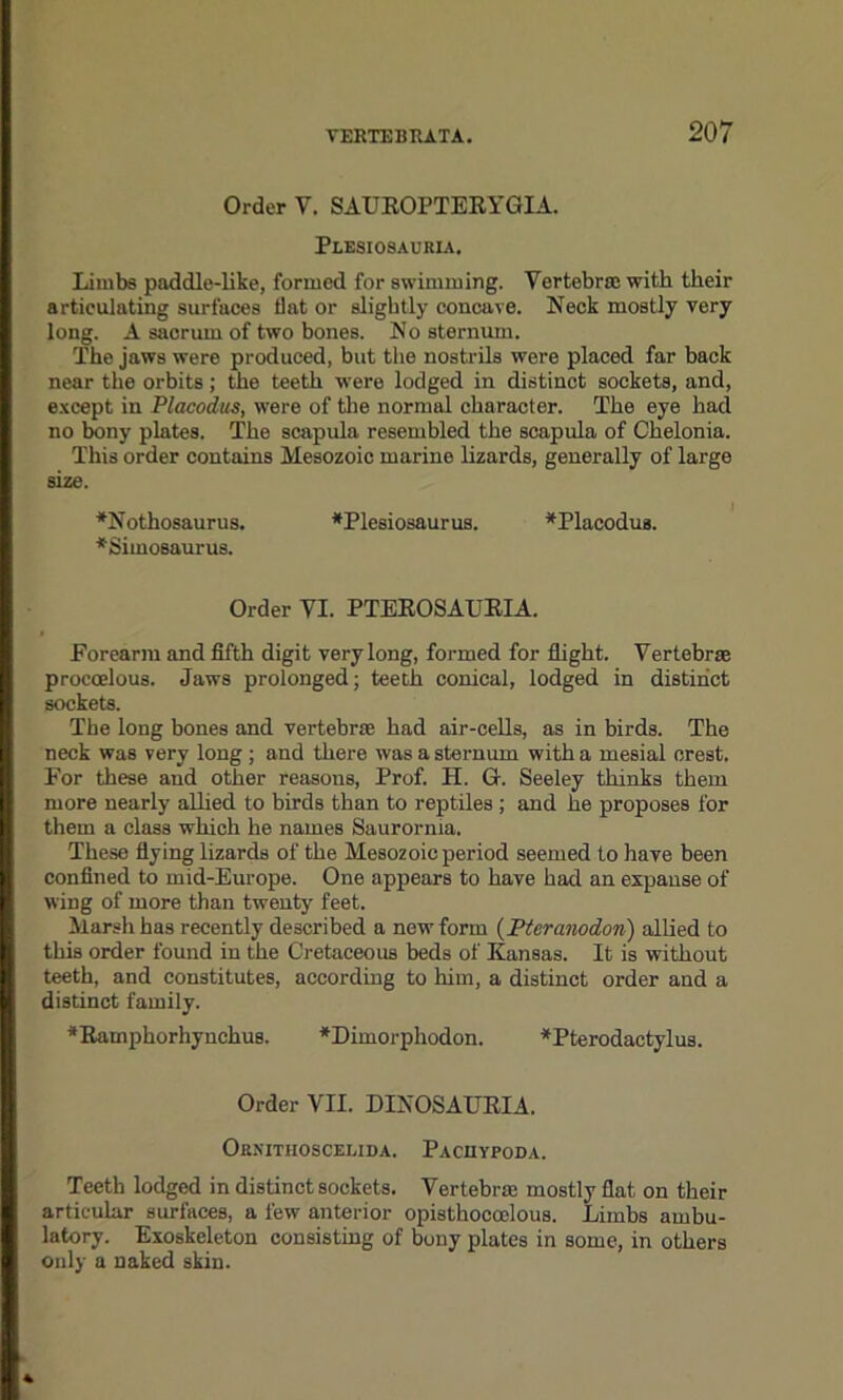 Order V. SAUROPTERYGIA. Plesiosauria. Limbs paddle-like, formed for swimming. Vertebral with their articulating surfaces flat or slightly concave. Neck mostly very long. A sacrum of two bones. No sternum. The jaws were produced, but tiie nostrils were placed far back near the orbits; the teeth were lodged in distinct sockets, and, except in Placodus, were of the normal character. The eye had no bony plates. The scapula resembled the scapula of Chelonia. This order contains Mesozoic marine lizards, generally of large size. *Nothosaurus. ^Plesiosaurus. *Placodua. *Simosaurus. Order VI. PTEROSAURIA. Forearm and fifth digit very long, formed for flight. Vertebrae procoelous. Jaws prolonged; teeth conical, lodged in distinct sockets. The long bones and vertebrae had air-cells, as in birds. The neck was very long ; and there was a sternum with a mesial crest. For these and other reasons, Prof. H. Or. Seeley thinks them more nearly allied to birds than to reptiles ; and he proposes for them a class which he names Saurornia. These flying lizards of the Mesozoic period seemed to have been confined to mid-Europe. One appears to have had an expanse of wing of more than twenty feet. Marsh has recently described a new form (Pteranodon) allied to this order found in the Cretaceous beds of Kansas. It is without teeth, and constitutes, according to him, a distinct order and a distinct family. *Ramphorhynchus. *Dimorphodon. *Pterodactylu3. Order VII. DINOSAURIA. Ornithoscemda. Paciiypoda. Teeth lodged in distinct sockets. Vertebra mostly flat on their articular surfaces, a few anterior opisthocoelous. Limbs ambu- latory. Exoskeleton consisting of bony plates in some, in others only a naked skin.