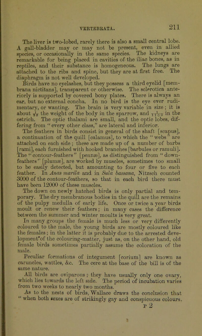 The liver is two-lobed, rarely there is also a small central lobe. A gall-bladder may or may not be present, even in allied species, or occasionally in the same species. The kidneys are remarkable for being placed in cavities of the iliac bones, as in reptiles, and their substance is homogeneous. The lungs are attached to the ribs and spine, but they are at first free. The diaphragm is not well developed. Birds have no eyelashes, but they possess a third eyelid [mem- brana nictitans], transparent or otherwise. The sclerotica ante- riorly is supported by covered bony plates. There is always an ear, but no external concha. In no bird is the eye ever rudi- mentary, or wanting. The brain is very variable in size ; it is about the weight of the body in the sparrow, and ttVt in the ostrich. The optic thalami are small, and the optic lobes, dif- fering from “ every other class,” are lateral and inferior. The feathers in birds consist in general of the shaft [scapus], a continuation of the quill [calamus], to which the “ webs ’’ are attached on each side; these are made up of a number of barbs [rami], each furnished with hooked branches [barbules or ramuli]. The “contour-feathers” [pennss], as distinguished from “down- feathers’’ [plumse], are worked by muscles, sometimes too small to be easily detected, but amounting to four or five to each feather. In Anas marila and in Sula bassana, Nitzsch counted 3000 of the contour-feathers, so that in each bird there must have been 12000 of these muscles. The down on newly hatohed birds is only partial and tem- porary. The dry membranous bodies in the quill are the remains of the pulpy medulla of early life. Once or twice a year birds moult or renew their feathers; in many cases the difference between the summer and winter moults is very great. In many groups the female is much less or very differently coloured to the male, the young birds are mostly coloured like the females; in the latter it is probably due to the arrested deve- lopinent’of the colouring-matter, just as, on the other hand, old female birds sometimes partially assume the coloration of the male. Peculiar formations of integument [corium] are known as caruncles, wattles, &c. The cere at the base of the bill is of the same nature. All birds are oviparous ; they have usually only one ovary, which lies towards the left side. The period of incubation varies from two weeks to nearly two months. As to the nests of birds, Wallace draws the conclusion that “ when both sexes are of strikingly gay and conspicuous colours. p 2