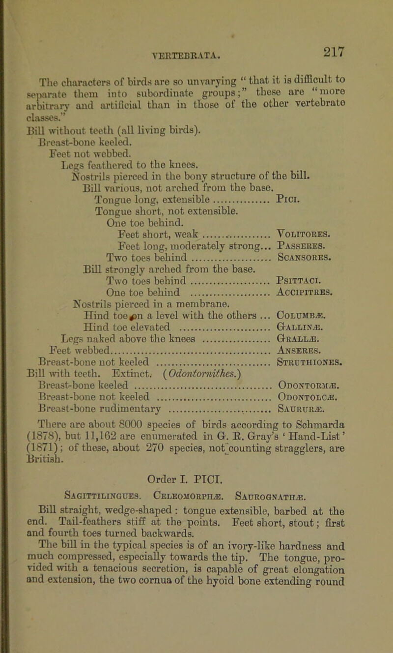 The characters of birds are so unvarying “ that it is difficult to separate them into subordinate groups;” these are “more arbitrary and artificial than in those of the other vertebrate classes.” Bill without teeth (all living birds). Breast-bone keeled. Feet not webbed. Legs feathered to the knees. Nostrils pierced in the bony structure of the bill. Bill various, not arched from the base. Tongue long, extensible Pici. Tongue short, not extensible. One toe behind. Feet short, weak Volitores. Feet long, moderately strong... Passeres. Two toes behind Scansores. Bill strongly arched from the base. Two toes behind Psittaci. One toe behind Accipitres. Nostrils pierced in a membrane. Hind toe4)11 a level with the others ... Coeumb.-e. Hind toe elevated Gallixas. Legs naked above the knees Grall.e. Feet webbed Axseres. Breast-bone not keeled Stretiiiones. Bill with teeth. Extinct. (Odontomithes.) Breast-bone keeled Odontorjee. Breast-bone not keeled Odontoloe. Breast-bone rudimentary Saurur.e. There are about 8000 species of birds according to Schmarda (1878), but 11,162 are enumerated in G. B. Gray’s ‘ Hand-List’ (1871); of these, about 270 species, not counting stragglers, are British. Order I. PICI. Sagittimxgges. Celeomorpha:. Saerognatile. Bill straight, wedge-shaped : tongue extensible, barbed at the end. Tail-feathers stiff at the points. Feet short, stout; first and fourth toes turned backwards. The bill in the typical species is of an ivory-like hardness and much compressed, especially towards the tip. The tongue, pro- vided with a tenacious secretion, is capable of great elongation and extension, the two cornua of the hyoid bone extending round