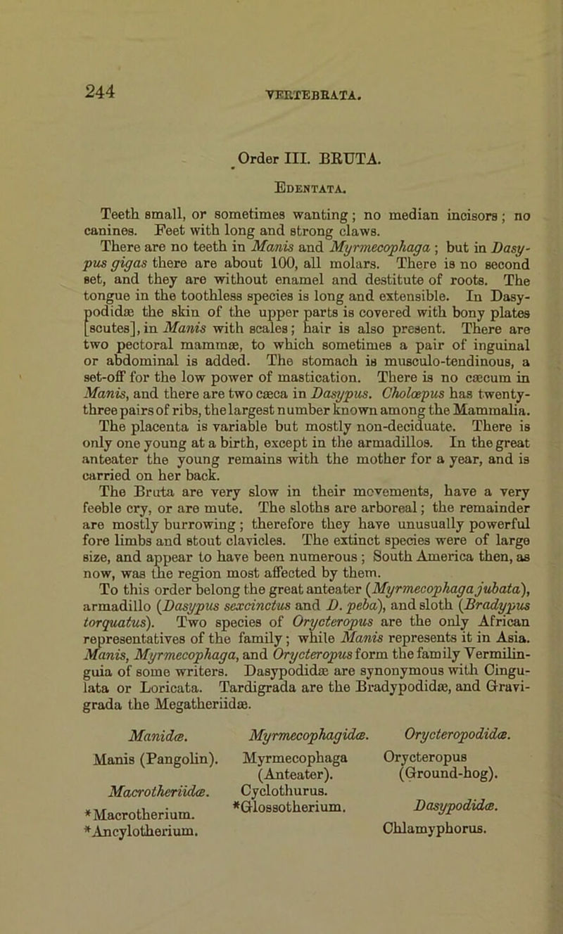 Order III. BRUTA. Edentata. Teeth small, or sometimes wanting; no median incisors; no canines. Feet with long and strong claws. There are no teeth in Manis and Myrmecophaga ; but in Dasy- pus gigas there are about 100, all molars. There is no second set, and they are without enamel and destitute of roots. The tongue in the toothless species is long and extensible. In Dasy- Eiodidac the skin of the upper parts is covered with bony plates scutes], in Manis with scales; hair is also present. There are two pectoral mamma, to which sometimes a pair of inguinal or abdominal is added. The stomach is musculo-tendinous, a set-off for the low power of mastication. There is no caecum in Manis, and there are two caeca in Dasypus. Cholcepus has twenty- three pairs of ribs, the largest n umber known among the Mammalia. The placenta is variable but mostly non-deciduate. There is only one young at a birth, except in the armadillos. In the great anteater the young remains with the mother for a year, and is carried on her back. The Bruta are very slow in their movements, have a very feeble cry, or are mute. The sloths are arboreal; the remainder are mostly burrowing ; therefore they have unusually powerful fore limbs and stout clavicles. The extinct species were of large size, and appear to have been numerous ; South America then, as now, was the region most affected by them. To this order belong the great anteater (Myrmecophaga jubata), armadillo (Dasypus sexcinctus and D. peba), and sloth (Bradypus torquatus). Two species of Orycteropus are the only African representatives of the family ; while Manis represents it in Asia. Manis, Myrmecophaga, and Orycteropus form the family Vermilin- guia of some writers. Dasypodidse are synonymous with Cingu- lata or Loricata. Tardigrada are the Bradypodidaj, and Gravi- grada the Megatheriidte. Manidrc. Manis (Pangolin). Macrotheriidce. * Macrotherium. *Ancylotherium. Myrmecophagidce. Myrmecophaga (Anteater). Cyclothurus. *Glossotherium. Orycteropodidce. Orycteropus (Ground-hog). Dasypodidce. Chlamyphorus.