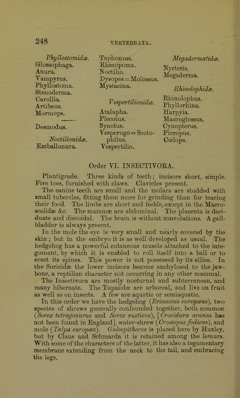 VEETEBB.VTA. Phyllostomida. Glossophaga. Anura. Yampyrus. Phyllostoma. Stenoderma. Carollia. Artibeus. Mormops. Desmodus. NoctilioiiicLe. Emballonura. Tapliozous. Rhinopoma. Roctilio. Dysopes=Mo1o3sus. Mystacina. Vespertilionidce. Atalapha. Plecotus. SjTiotus. Y esperugo = Scoto- philus. Yespertilio. Megaderrn.atid.ee, Nycteris. Megaderma. Rhinolophidm. Rhinolophus. Phyllorhina. Harpyia. Macroglossus. Cynopterus. Pteropus. Coelops. Order YI. INSECTIVORA. Plantigrade. Three kinds of teeth; incisors short, simple. Five toes, furnished with claws. Clavicles present. The canine teeth are small and the molars are studded with small tubercles, fitting them more for grinding than for tearing their food. The limbs are short and feeble, except in the Macro- scelidas &e. The mammae are abdominal. The placenta is deci- duate and discoidal. The brain is without convolutions. A gall- bladder is always present. In the mole the eye is very small and nearly covered by the skin ; but in the embryo it is as well developed as usual. The hedgehog has a powerful cutaneous muscle attached to the inte- gument, by which it is enabled to roll itself into a ball or to erect its spines. This power is not possessed by its allies. In the Soricidae the lower incisors become anchylosed to the jaw- bone, a reptilian character not occurring in any other mammal. The Insectivora are mostly nocturnal and subterranean, and many hibernate. The Tupaiidse are arboreal, and live on fruit as well as on insects. A few are aquatic or semiaquatic. In this order we have the hedgehog (Erinaceus europteus), two species of shrews generally confounded together, both common (Sorex tetragonurus and Sore,r rusticus), \C'rocidura aranea has not been found in England], water-shrew (Crossopus fodiens), and mole (Talpa europtea). Galeopithecus is placed here by Huxley, but by Claus and Schmarda it is retained among the lemurs. With some of the characters of the latter, it has also a tegumentary membrane extending from the neck to the tail, and embracing the legs.