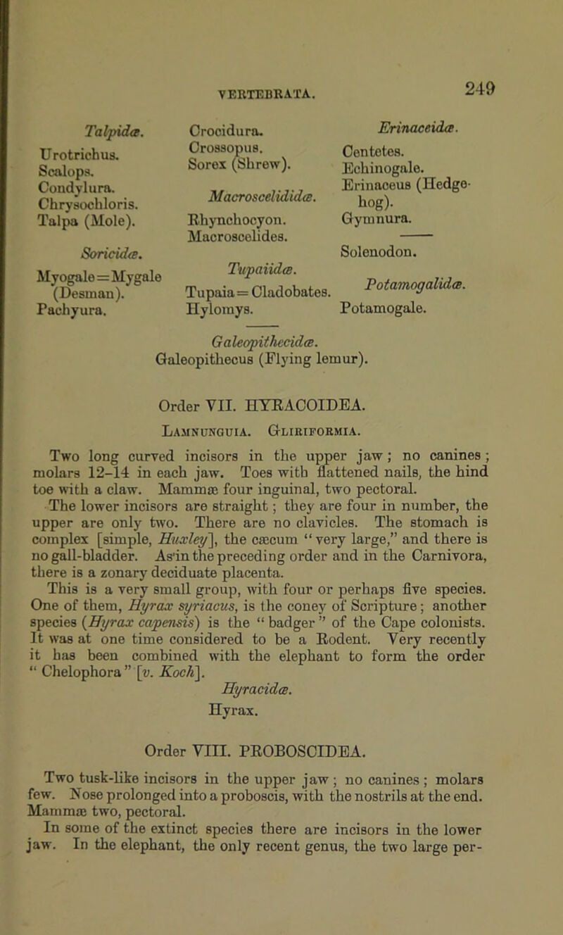 Talpida. U rotrichus. Scalops. Condylura. Chrysochloris. Talpa (Mole). Soricida. Myogale=Mygale (Desman). Faehyura. Crocidura. Orossopus. Sores (Shrew). MacroscelididtB. Rhynchocyon. Macroscolides. Tu'paiidcB. Tupaia= Cladobates. Hylorays. Erinaceida. Centetes. Echinogale. Erinaoeus (Hedge hog). Gymnura. Solenodon. PotamogalidcB. Potamogale. Galeopithecidce. Galeopithecus (Flying lemur). Order VII. HYRACOIDEA. Lamnunguia. Gliriformia. Two long curved incisors in the upper jaw; no canines ; molars 12-14 in each jaw. Toes with flattened nails, the hind toe with a claw. Mammae four inguinal, two pectoral. The lower incisors are straight; they are four in number, the upper are only two. There are no clavicles. The stomach is complex [simple, Huxley], the caecum “very large,” and there is no gall-bladder. As'in the preceding order and in the Carnivora, there is a zonary deciduate placenta. This is a very small group, with four or perhaps five species. One of them, Hyrax syriacus, is the coney of Scripture; another species (Hyrax capensis) is the “ badger ” of the Cape colonists. It was at one time considered to be a Rodent. Very recently it has been combined with the elephant to form the order “ Chelophora ”[v. Koch]. Hyracidos. Hyrax. Order VIII. PROBOSCIDEA. Two tusk-like incisors in the upper jaw ; no canines ; molars few. Nose prolonged into a proboscis, with the nostrils at the end. Mamma; two, pectoral. In some of the extinct species there are incisors in the lower jaw. In the elephant, the only recent genus, the two large per-