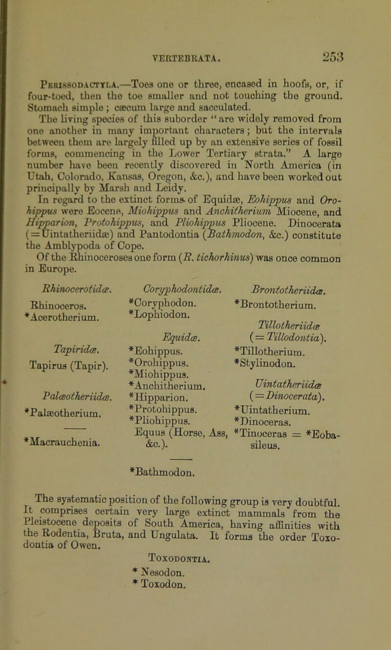 Perissodactyla.—Toes one or three, encased in hoofs, or, if four-toed, then the toe smaller and not touching the ground. Stomaeh simple ; caecum large and sacculated. The living species of this suborder “ aro widely removed from one another in many important characters; but the intervals between them are largely filled up by an extensive series of fossil forms, commencing in the Lower Tertiary strata.” A large number have been recently discovered in North America (in Utah, Colorado, Kansas, Oregon, &c.), and have been worked out principally by Marsh and Leidy. In regard to the extinct forms- of Equid as, Eohippus and Oro- hippus were Eocene, Miohippus and Anchitherium Miocene, and Hipparion, Protohippus, and Pliohippus Pliocene. Dinocerata (=Uintatheriida:) and Pantodontia (Bathmodon, &c.) constitute the Amblypoda of Cope. Of the Rhinoceroses one form (7?. tichorhinus) was once common in Europe. Rhinocerotidce. Rhinoceros. ♦Acerotherium. Tapirida. Tapirus (Tapir). Palceotheriida. *Pala30therium. *Macrauchenia. Coryphodontidce. *Coryphodon. *Lophiodon. Equidts. *Eohippus. *Oromppus. *Miohippus. * Anchitherium. * Hipparion. *Protohippus. *Pliohippus. Equus (Horse, Ass, &c.). Brontotheriidce. *J3rontothcrium. Tillnthcriidm ( = Tillodontia). *Tillotheriura. *Stylinodon. Uintathnriidcs {—Dinocerata). *Uintatherium. *I)inoceras. *Tinoceras = *Eoba- sileus. *Bathmodon. The systematic position of the following group is very doubtful. It comprises certain very large extinct mammals from the Pleistocene deposits of South. America, haying affinities with the Rodentia, Bruta, and Ungulata. It forms the order Toxo- dontia of Owen. Toxodontia. * Nesodon. * Toxodon.