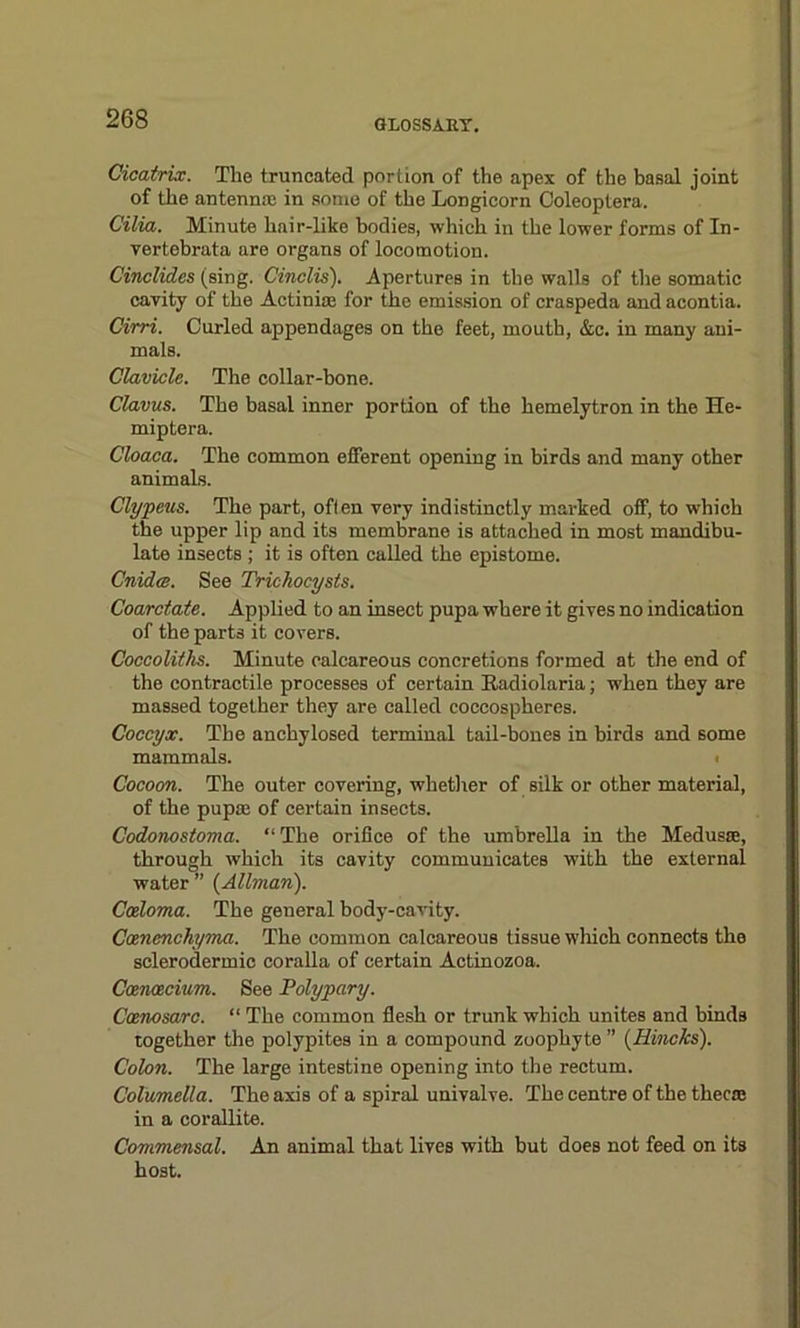 Cicatrix. The truncated portion of the apex of the basal joint of the antenna; in some of the Longicorn Coleoptera. Cilia. Minute hair-like bodies, which in the lower forms of In- vertebrata are organs of locomotion. Cinclides (sing. Cinclis). Apertures in the walls of the somatic cavity of the Actiniae for the emission of craspeda and acontia. Cirri. Curled appendages on the feet, mouth, &c. in many ani- mals. Clavicle. The collar-bone. Clavus. The basal inner portion of the hemelytron in the He- miptera. Cloaca. The common efferent opening in birds and many other animals. Clypeus. The part, often very indistinctly marked off, to which the upper lip and its membrane is attached in most mandibu- late insects ; it is often called the epistoine. Cnidce. See Trichocysts. Coarctate. Applied to an insect pupa where it gives no indication of the parts it covers. Coccoliths. Minute calcareous concretions formed at the end of the contractile processes of certain Eadiolaria; when they are massed together they are called coccospheres. Coccyx. The anchylosed terminal tail-bones in birds and some mammals. Cocoon. The outer covering, whether of silk or other material, of the puprn of certain insects. Codonostonia. “The orifice of the umbrella in the Medusae, through which its cavity communicates with the external water ” {Allman). Cceloma. The general body-cavity. Coenenchyma. The common calcareous tissue which connects the sclerodermic coralla of certain Actinozoa. Coencecium. See Polypary. Ccenosarc. “ The common flesh or trunk which unites and binds together the polypites in a compound zoophyte ” {Hincks). Colon. The large intestine opening into the rectum. Columella. The axis of a spiral univalve. The centre of the theca; in a corallite. Commensal. An animal that lives with but does not feed on its host.