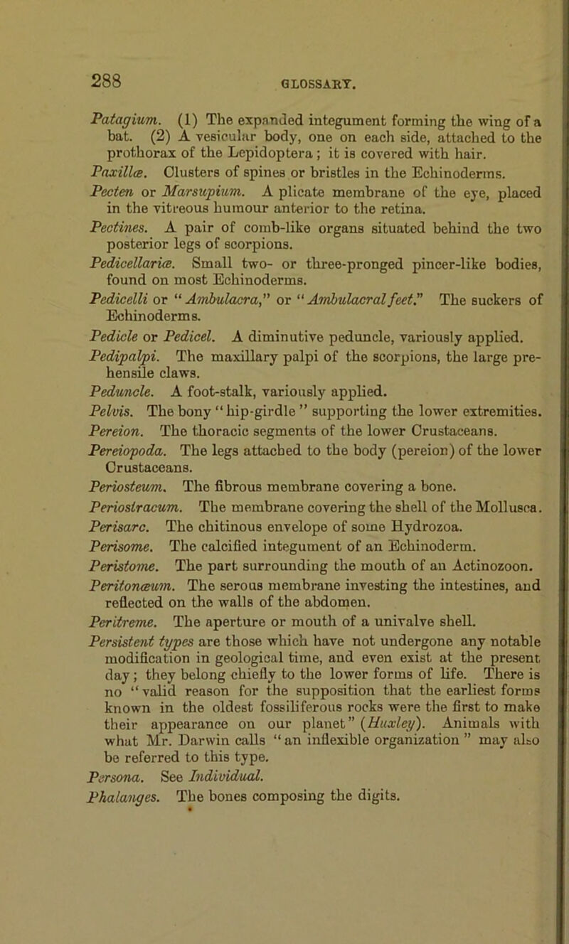 Patagium. (1) The expanded integument forming the wing of a bat. (2) A vesicular body, one on each side, attached to the prothorax of the Lepidoptera; it is covered with hair. Paxillm. Clusters of spines or bristles in the Echinoderms. Pecten or Marsupium. A plicate membrane of the eye, placed in the vitreous humour anterior to the retina. Pectines. A pair of comb-like organs situated behind the two posterior legs of scorpions. PedicellaricB. Small two- or three-pronged pincer-like bodies, found on most Echinoderms. Pedicelli or “ Ambulacra,” or “ Amlmlacral feet. The suckers of Echinoderms. Pedicle or Pedicel. A diminutive peduncle, variously applied. Pedipalpi. The maxillary palpi of the scorpions, the large pre- hensile claws. Peduncle. A foot-stalk, variously applied. Pelvis. The bony “hip-girdle ” supporting the lower extremities. Pereion. The thoracic segments of the lower Crustaceans. Pereiopoda. The legs attached to the body (pereion) of the lower Crustaceans. Periosteum. The fibrous membrane covering a bone. Periosiracum. The membrane covering the shell of the Mollusca. Perisarc. The chitinous envelope of some Hydrozoa. Perisome. The calcified integument of an Eehinoderm. Peristome. The part surrounding the mouth of an Actinozoon. Peritonaeum. The serous membrane investing the intestines, and reflected on the walls of the abdomen. Peritreme. The aperture or mouth of a univalve shell. Persistent types are those which have not undergone any notable modification in geological time, and even exist at the present, day ; they belong chiefly to the lower forms of life. There is no “ valid reason for the supposition that the earliest forms known in the oldest fossiliferous rocks were the first to make their appearance on our planet” {Huxley). Animals with what Mr. Darwin calls “an inflexible organization ” may also be referred to this type. Persona. See Individual. Phalanges. The bones composing the digits.