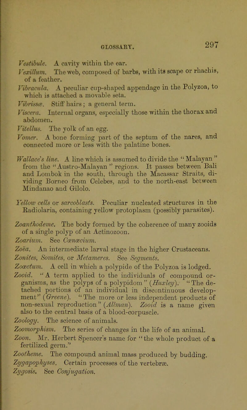 Vestibule. A cavity within the ear. Vexillum. The web, composed of barbs, with its scape or rhachis, of a feather. Vibracula. A peculiar cup-shaped appendage in tho Polyzoa, to which is attached a movable seta. Vibrissa. Stiff hairs; a general term. Viscera. Internal organs, especially those within the thorax and abdomen. Vitellus. The yolk of an egg. Vomer. A bone forming part of the septum of the nares, and connected more or less with the palatine bones. Wallace's line. A line which is assumed to divide the “ Malayan ” from the “ Austro-Malavan ” regions. It passes between Bali and Lombok in the south, through the Macassar Straits, di- viding Borneo from Celebes, and to the north-east between Mindanao and G-ilolo. Yellow cells or sarcoblasts. Peculiar nucleated structures in the Radiolaria, containing yellow protoplasm (possibly parasites). Zoanthodeme. The body formed by the coherence of many zooids of a single polyp of an Actinozoon. Zoarium. See Coencecium. Zoea. An intermediate larval stage in the higher Crustaceans. Zonites, Somites, or Metameres. See Segments. Zocectum. A cell in which a polypide of the Polyzoa is lodged. Zooid. “ A term applied to the individuals of compound or- ganisms, as the polyps of a polypidom ” {Huxley). “ The de- tached portions of an individual in discontinuous develop- ment” {Greene). “The more or less independent products of non-sexual reproduction ” {Allman). Zooid is a name given also to the central basis of a blood-corpuscle. Zoology. The science of animals. Zoomoryliism. The series of changes in the life of an animal. Zoon. Mr. Herbert Spencer's name for “the whole product of a fertilized germ.’’ Zootheme. The compound animal mass produced by budding. Zyg apophyses. Certain processes of the vertebrae. Zygosis. See Conjugation.