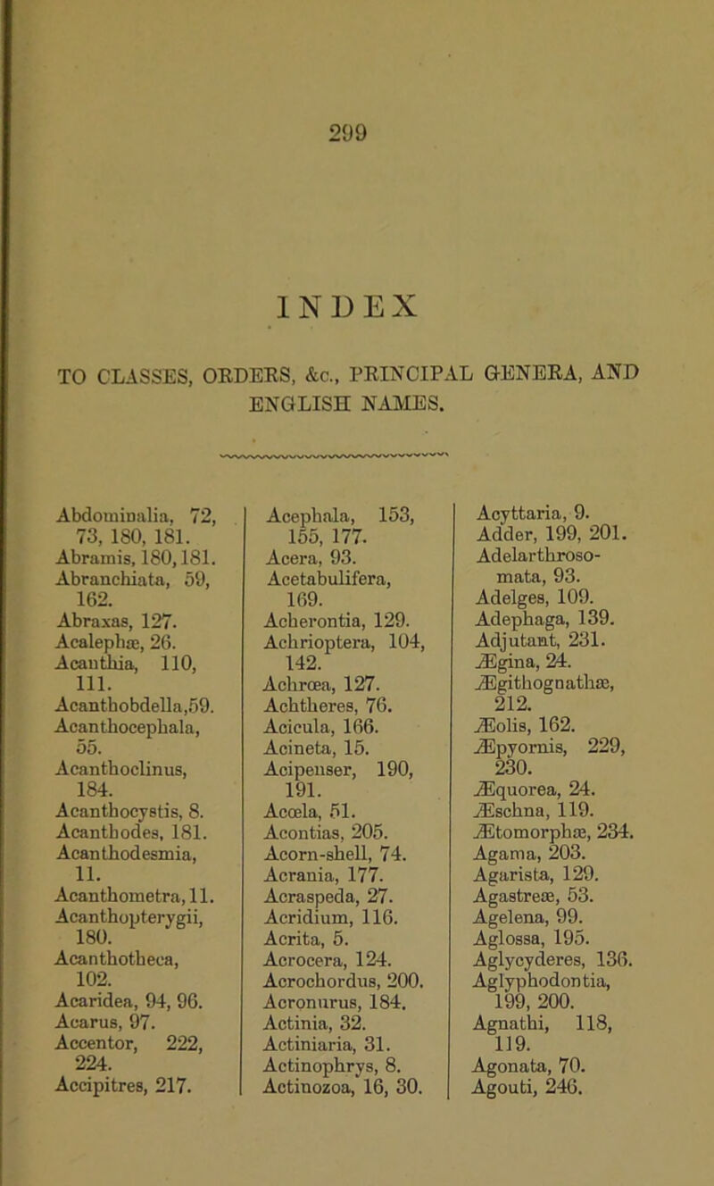 INDEX TO CLASSES, ORDERS, &c., PRINCIPAL GENERA, AND ENGLISH NAMES. Abdominalia, 72, 73, ISO, 181. Abramis, 180,181. Abranckiata, 59, 162. Abraxas, 127- Acalepkse, 26. Acautliia, 110, 111. Acantbobdella,59. Acantkocepkala, 55. Aeantkoelinus, 184. Acantkocystis, 8. Acantbodes, 181. Aeanthodesmia, 11. Acanthometra, 11. Acanthopterygii, 180. Acanthotheca, 102. Acaridea, 94, 96. Acarus, 97. Accentor, 222, 224. Accipitres, 217. Acephala, 153, 155, 177. Acera, 93. Acetabulifera, 169. Ackerontia, 129. Ackrioptera, 104, 142. Ackrcea, 127. Acktkeres, 76. Acicula, 166. Acineta, 15. Acipenser, 190, 191. Accela, 51. Acontias, 205. Acorn-skell, 74. Acrania, 177. Acraspeda, 27. Acridium, 116. Acrita, 5. Acrocera, 124. Acrockordus, 200. Aeronurus, 184. Actinia, 32. Actiniaria, 31. Actinopkrys, 8. Actinozoa, 16, 30. Acyttaria, 9. Adder, 199, 201. Adelartkroso- mata, 93. Adelges, 109. Adephaga, 139. Adjutant, 231. iEgina, 24. AEgitkognatkas, 212. gEolis, 162. AEpyornis, 229, 230. AEquorea, 24. AEsckna, 119. AEtomorpkas, 234. Agama, 203. Agarista, 129. Agastrese, 53. Agelena, 99. Aglossa, 195. Aglycydcres, 136. Aglypkodontia, 199, 200. Agnatki, 118, 119. Agonata, 70. Agouti, 246.