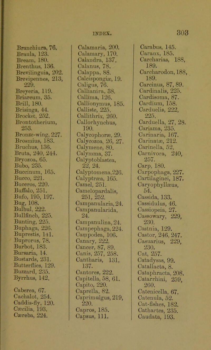 Branchiura, 76. Braula, 123. Bream, 180. Brenthus, 136. Brevilinguia, 202. Brevipennes, 213, 220. Breyeria, 119. Briareum, 35. Brill, 180. Briainga, 44. Brocket, 252. Brontotherium, 253. Bronze-wing, 227. Brosmius, 183. Bruchus, 136. Bruta, 240, 244. Bryozoa, 65. Bubo, 235. Buccinum, 165. Bucco, 221. Buceros, 220. Buffalo, 251. Bufo, 195, 197. Bug, 108. Bulbul, 222. Bullfinch, 225. Bunting, 225. Buphaga, 226. Buprestis, l4l. Buprorus, 78. Burbot, 183. Bursaria, 14. Bustards, 231. Butterflies, 129. Buzzard, 235. Byrrhus, 142. Caberea, 67. Cachalot, 254. Caddis-fly, 120. Crecilia, 193. Csereba, 224. Calamaria, 200. Oalatnary, 170. Oalandra, 137. Calanus, 78. Calappa, 88. Calcispongitc, 19. Caligus, 76. Callianira, 38. Callima, 126. Callionymus, 185. Oalliste, 225. Callithrix, 260. Callorhynchus, 190. Calycophoras, 29. Calycozoa, 26, 27. Oalyinene, 80. Calymma, 37. Calyptoblastea, 22, 24. Calyptomena,226. Calyptr.Ta, 165. Camel, 251. Camelopardalis, 251, 252. Campanularia, 24. Campanularida, 24. Campanulina, 24. Campephaga, 224. Campodea, 106. Canary, 222. Cancer, 87, 89. Canis, 257, 258. Cantharis, 131, 137. Oantores, 222. Oapitella, 58, 61. Capito, 220. Caprella, 82. Caprimulgus, 219, 220. Capros, 185. Capsus, 111. Carabus, 145. Oaranx, 185. Carcliarias, 188, 189. Carcharodon, 188, 189. Oarcinus, 87, 89. Cardinalis, 225. Cardisoma, 87. Oardium, 158. Carduelis, 222, 225. Carduella, 27, 28. Cariama, 235. Carinaria, 167. Carinalte, 212. Carinella, 52. Carnivora, 240, 257 Carp, 180. Carpophaga, 227. Cartilaginei, 187. Caryophyllteus, 54. Cassida, 133. Cassidulus, 46. Cassiopeia, 27. Cassowary, 229, 230. Castnia, 129. Castor, 246, 247. Casuarius, 229, 230. Cat, 257. Catadysas, 99. Catallacta, 8. Cataph racta, 208. Catarrhini, 259, 260. Catenicella, 67. Catenula, 52. Oat-fishes, 182. Cathartes, 235. Caudata, 193.