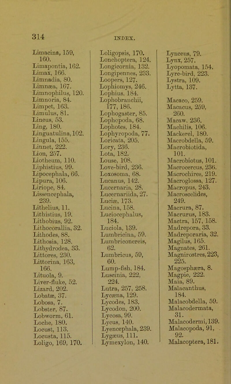 Limacina, 159, 160. Limapontia, 162. Limas, 166. Limnadia, 80. Limnma, 167. Limnophilus, 120. Limnoria, 84. Limpet, 163. Limulus, 81. Lineus, 53. Ling, 180. Linguatulina, 102. Lingula, 155. Linnet, 222. Lion, 257. Liotlieum, 110. Liphistius, 99. Lipocephala, 66. Lipura, 106. Liriope, 84. Lissencephala, 239. Lithelius, 11. Lithistius, 19. Lithobius, 92. Lithocorallia, 32. Litbodes, 88. Litbosia, 128. Lithydrodea, 33. Littores, 230. Littorina, 163, 166. Lituola, 9. Liver-fluke, 52. Lizard, 202. Lobatse, 37. Lobosa, 7. Lobster, 87. Lobworm, 61. Locbe, 180. Locust, 113. Locusta, 115. Loligo, 169, 170. INDEX. Loligopsis, 170. Lonchoptera, 124. Longicornia, 132. Longipennes, 233. Loopers, 127. Lopbiomys, 246. Lopbius, 184. Lophobranchii, 177, 186. Lophogaster, 85. Lopbopoda, 68. Lopbotes, 184. Lopbyropoda, 77. Loricata, 205. Lory, 236. Lota, 182. Louse, 108. Love-bird, 236. Loxosoma, 68. Lucanus, 142. Lucernaria, 28. Lucernariida, 27. Lucim, 173. Lucina, 158. Luciocepbalus, 184. Luciola, 139. Lumbricina, 59. Lumbriconereis, 62. Lumbricus, 59, 60. Lump-fish, 184. Luscinia, 222, 224 Lutra, 257, 258. Lycmna, 129. Lycodes, 183. Lycodon, 200. Lycosa, 99. Lycus, 140. Lyencepbala, 239. Lygfeus, 111. Lymexylon, 140. Lynceus, 79. Lynx, 257. Lyopomata, 154. Lyre-bird, 223. Lystra, 109. Lytta, 137. Macaco, 259. Macacus, 259, 260. Macaw. 236. Macbilis, 106. Mackerel, 180. Macrobdella, 59. Macrobiotida, 101. Macrobiotus, 101. Macrocercus, 236. Macrocbires, 219. Macroglossa, 127. Macropus, 243. Macroscelides, 249. Macrura, 87. Macrurus, 183. Mactra, 157, 158. Madrepora, 33. Madreporaria, 32. Magilus, 165. Magnates, 261. Magnirostres, 223, 225. Magosphsera, 8. Magpie, 222. Maia, 89. Malacantbus, 184. Malacobdella, 59. Malacodermata, 31. Malacodermi, 139. Malacopoda, 91, 92. Malacoptera, 181.