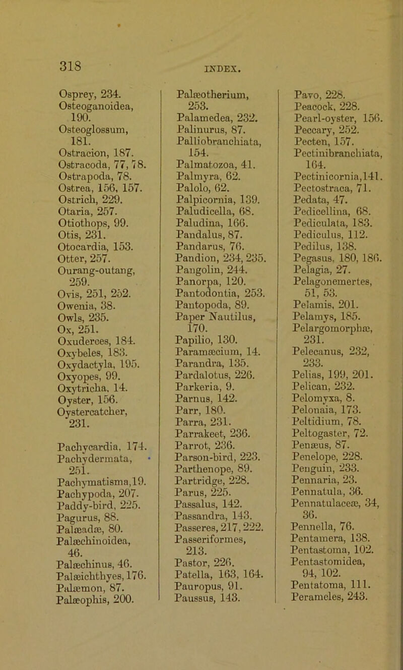 Osprey, 234. Osteoganoidea, 190. Osteoglossum, 181. Ostracion, 187. Ostracoda, 77,18. Ostrapoda, 78. Ostrea, 156, 157. Ostrich, 229. Otaria, 257. Otiothops, 99. Otis, 231. Otocardia, 153. Otter, 257. Ourang-outang, 259. Ovis, 251, 252. Owenia, 38. Owls, 235. Ox, 251. Oxuderces, 184. Oxybeles, 183. Oxydactyla, 195. Oxyopes, 99. Oxytricha. 14. Oyster, 156. Oystercatcher, Pacliycardia, 174. Pachydermata, 251. Pach y mati sm a, 19. Pachypoda, 207. Paddy-bird, 225. Pagurus, 88. Palmad®, 80. Palaechinoidea, 46. Paltechinus, 46. Palseichthyes, 176. Pabemon, 87. Palseophis, 200. INDEX. Palreotherium, 253. Palamedea, 232. Palinurus, 87. Palliobranchiata, 154. Palmatozoa, 41. Palmyra, 62. Palolo, 62. Palpicornia, 139. Paludicella, 68. Paludina, 166. Pandalus, 87. Pandarus, 76. Pandion, 234, 235. Pangolin, 244. Panorpa, 120. Pantodontia, 253. Pantopoda, 89. Paper Nautilus, 170. Papilio, 130. Paramoecium, 14. Parandra, 135. Pardalotus, 226. Parkeria, 9. Parnus, 142. Parr, 180. Parra, 231. Parrakeet, 236. Parrot, 236. Parson-bird, 223. Partkenope, 89. Partridge, 228. Parus, 225. Passalus, 142. Passandra, 143. Passeres, 217,222. Passeriformes, 213. Pastor, 226. Patella, 163, 164. Pauropus, 91. Paussus, 143. Paro, 228. Peacock, 228. Pearl-oyster, 156. Peccary, 252. Pecten, 157. Pectinibranchiata, 164. Pectinicornia,141. Pectostraca, 71. Pedata, 47. Pedicellina, 68. Pedieulata, 183. Pediculus, 112. Pedilus, 138. Pegasus. 180, 186. Pelagia, 27. Pelagonemertes, 51, 53. Pelamis, 201. Pelamys, 185. Pelargomorpbaj, 231. Pelecanus, 232, 233. Pelias, 199, 201. Pelican, 232. Pelomyxa, 8. Pelonaia, 173. Peltidium, 78. Peltogaster, 72. Penseus, 87. Penelope, 228. Penguin, 233. Pennaria, 23. Pennatula, 36. Pennatulaceaj, 34, 36. Pennella, 76. Pentamera, 138. Pentastoma, 102. Pen tastom idea, 94, 102. Pentatoma, 111. Perameles, 243.