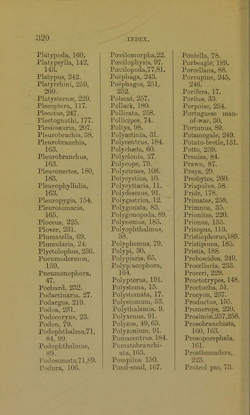 Platypodn, 100. Platypsylla, 142, 143. Platypus, 242. Platyrrhini, 259, 260. Platysternse, 229. Plecoptera, 117. Plecotus, 247. Plectognatki, 177. Plesiosauria, 207. Plcui'obrachia, 38. Pleurobranckia, 163. Pleurobrancb us, 163. Pleuronectes, 180, 183. Pleuropliyllidia, 163. Pleuropygia, 154. Pleurotomaria, 165. Ploceus, 225. Plover, 231. Plumatella, 69. Plumularia, 24. Plyctolophus, 236. Pneumodermon, 159. Pneumonophora, 47. Pochard, 232. Podactinaria, 27. Podargus, 219. Podoa, 231. Podocoryne, 23. Podon, 79. Podophthalma,71, 84, 99. Podophthalmus, 89. Podosomata,71,89. Podura, 106. INDEX. Pocciloin orpha, 22. Pcecilophysis, 97. Poecilopoda,77,81. Poepkaga, 243. Poepkagus, 251, 252. Polecat, 257. Pollack, 180. Pollicata, 258. Pollicipes, 74. Poltys, 98. Polyactinia, 31. Polycentrus, 184. Polycbseta, 60. Polyclonia, 27. Polycope, 79. Polyctenes, 108. Polycystina, 10. Polycyttaria, 11. Polydesmus, 91. Polygastrica, 12. Polygonata, 83. Polygonopoda, 89. Polyuemus, 185. Polyopktkaknus, 58. Polyphemus, 79. Polypi, 30. Polypiaria, 65. Polyp: acopkora, 164. Polypterus, 191. Polystoma, 15. Polystomata, 17. Polystomum, 53. Polytkalamia, 9. Polyxenus, 91. Polyzoa, 49,65. Polyzonium, 91. Pomacentrus. 184. Pomatobranchi- ata, 163. Pompilus, 150. Pond-snail, 167. Pontella, 78. Porbeagle, 189. Porcellana, 88. Porcupine, 245, 246. Porif'era, 17. Porites, 33. Porpoise, 254. Portuguese man- of-war, 30. Portunus, 89. Potamogale, 249. Potato-beetle, 131. Potto, 259. Praniza, 84. Prawn, 87. Praya, 29. Presbytes, 260. Priaptilus, 58. Pride, 178. Primates, 258. Primnoa, 35. Prionites, 220. Prionus, 135. Prisopus, 113. Pristiopkoruf,189. Pristipoma, 185. Pristis, 188. Proboseidea, 249. Proeellaria, 233. Proceri, 229. Proetotrypes, 148. Proctucka, 51. Procyon, 257. Productus, 155. Promerops, 220. Prosimias,257,258. Prosobranckiata, 160, 163. Prosopoeepkala, 161. Prostkemadera, 223. Proteol pas, 73.