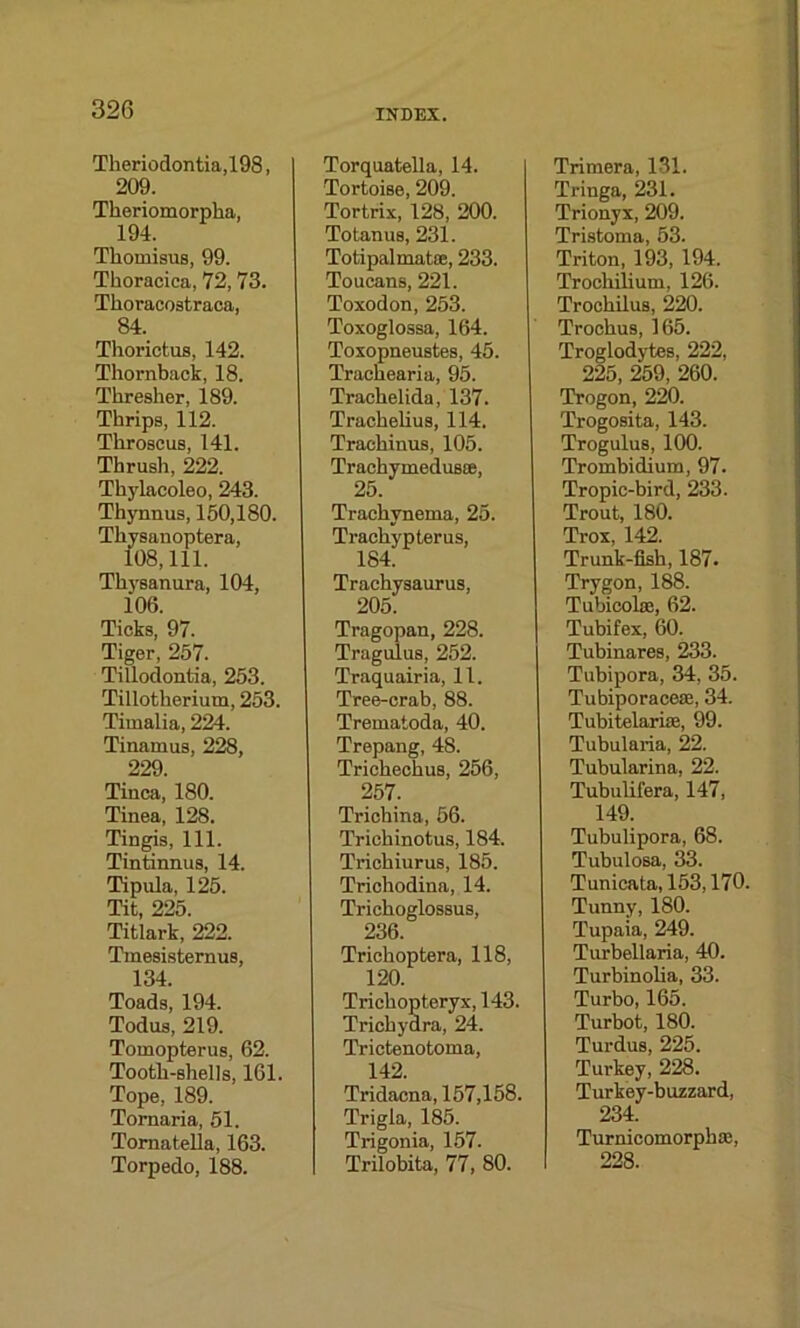 Theriodontia,198, 209. Tkeriomorpka, 194. Tkomisus, 99. Tkoracica, 72,73. Tkoracostraca, 84. Thorictus, 142. Thornback, 18. Tkresker, 189. Tkrips, 112. Tkroscus, 141. Tkrusk, 222. Tkylacoleo, 243. Thynnus, 150,180. Tkysanoptera, 108,111. Tkysanura, 104, 106. Ticks, 97. Tiger, 257. Tillodontia, 253. Tillotkerium, 253. Timalia, 224. Tinamus, 228, 229. Tinea, 180. Tinea, 128. Tingis, 111. Tintinnus, 14. Tipula, 125. Tit, 225. Titlark, 222. Tmesisternus, 134. Toads, 194. Todus, 219. Tomopterus, 62. Tootk-skells, 161. Tope, 189. Tornaria, 51. Tornatella, 163. Torpedo, 188. INDEX. Torquatella, 14. Tortoise, 209. Tortrix, 128, 200. Totanus, 231. Totipalmatoe, 233. Toucans, 221. Toxodon, 253. Toxoglossa, 164. Toxopneustes, 45. Trackearia, 95. Trackelida, 137. Trackekus, 114. Trackinus, 105. Trachymedusss, 25. Trackynema, 25. Trackypterus, 184. Trackysaurus, 205. Tragopan, 228. Tragulus, 252. Traquairia, 11. Tree-crab, 88. Trematoda, 40. Trepang, 48. Trickeckus, 256, 257 Trickina, 56. Trickinotus, 184. Trickiurus, 185. Trickodina, 14. Trickoglossus, 236. Trickoptera, 118, 120. Trickopteryx, 143. Trick ydra, 24. Trictenotoma, 142. Tridacna, 157,158. Trigla, 185. Trigonia, 157. Trilobita, 77, 80. Trimera, 131. Tringa, 231. Trionyx, 209. Tristoma, 53. Triton, 193, 194. Trockilium, 126. Trookilus, 220. Trockus, 165. Troglodytes, 222, 225, 259, 260. Trogon, 220. Trogosita, 143. Trogulus, 100. Troinbidium, 97. Tropic-bird, 233. Trout, 180. Trox, 142. Trunk-fish, 187. Trygon, 188. Tubicol®, 62. Tubifex, 60. Tubinares, 233. Tubipora, 34, 35. Tubiporacese, 34. Tubitelarias, 99. Tubularia, 22. Tubularina, 22. Tubulifera, 147, 149. Tubulipora, 68. Tubulosa, 33. Tunicata, 153,170. Tunny, 180. Tupaia, 249. Turbellaria, 40. Turbinoka, 33. Turbo, 165. Turbot, 180. Turdus, 225. Turkey, 228. Turkey-buzzard, 234. Turnicomorpkse, 228.