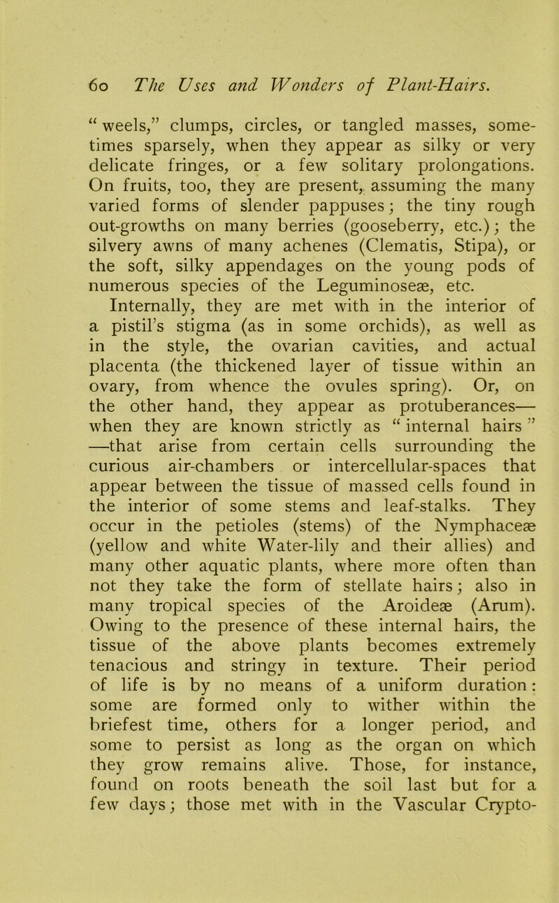 “ weels,” clumps, circles, or tangled masses, some- times sparsely, when they appear as silky or very delicate fringes, or a few solitary prolongations. On fruits, too, they are present, assuming the many varied forms of slender pappuses; the tiny rough out-growths on many berries (gooseberry, etc.); the silvery awns of many achenes (Clematis, Stipa), or the soft, silky appendages on the young pods of numerous species of the Leguminoseae, etc. Internally, they are met with in the interior of a pistil’s stigma (as in some orchids), as well as in the style, the ovarian cavities, and actual placenta (the thickened layer of tissue within an ovary, from whence the ovules spring). Or, on the other hand, they appear as protuberances— when they are known strictly as “ internal hairs ” —that arise from certain cells surrounding the curious air-chambers or intercellular-spaces that appear between the tissue of massed cells found in the interior of some stems and leaf-stalks. They occur in the petioles (stems) of the Nymphaceae (yellow and white Water-lily and their allies) and many other aquatic plants, where more often than not they take the form of stellate hairs; also in many tropical species of the Aroideae (Arum). Owing to the presence of these internal hairs, the tissue of the above plants becomes extremely tenacious and stringy in texture. Their period of life is by no means of a uniform duration: some are formed only to wither within the briefest time, others for a longer period, and some to persist as long as the organ on which they grow remains alive. Those, for instance, found on roots beneath the soil last but for a few days; those met with in the Vascular Crypto-