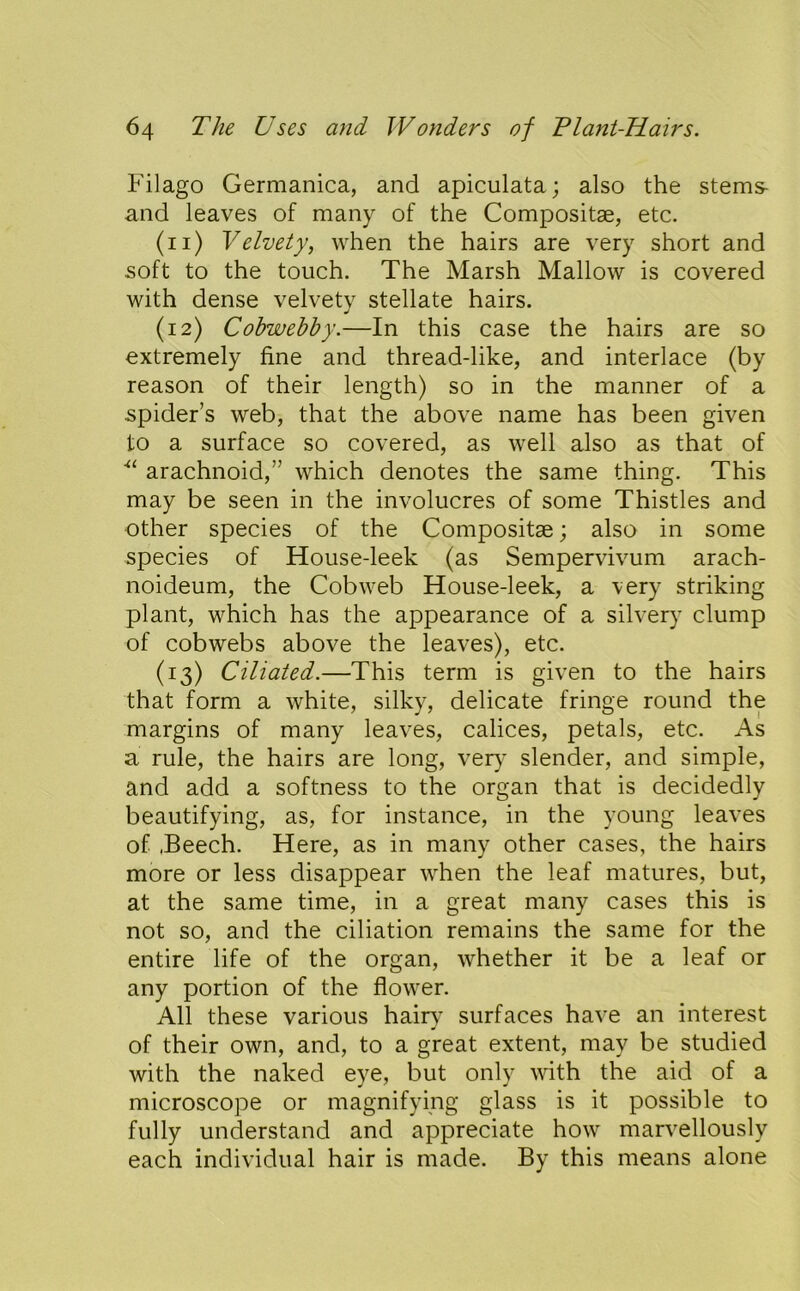 Filago Germanica, and apiculata; also the stems- and leaves of many of the Compositae, etc. (11) Velvety, when the hairs are very short and soft to the touch. The Marsh Mallow is covered with dense velvety stellate hairs. (12) Cobwebby.—In this case the hairs are so extremely fine and thread-like, and interlace (by reason of their length) so in the manner of a spider’s web, that the above name has been given to a surface so covered, as well also as that of arachnoid,” which denotes the same thing. This may be seen in the involucres of some Thistles and other species of the Compositae; also in some species of House-leek (as Sempervivum arach- noideum, the Cobweb House-leek, a very striking plant, which has the appearance of a silvery clump of cobwebs above the leaves), etc. (13) Ciliated.—This term is given to the hairs that form a white, silky, delicate fringe round the margins of many leaves, calices, petals, etc. As a rule, the hairs are long, ver}* slender, and simple, and add a softness to the organ that is decidedly beautifying, as, for instance, in the young leaves of .Beech. Here, as in many other cases, the hairs more or less disappear when the leaf matures, but, at the same time, in a great many cases this is not so, and the ciliation remains the same for the entire life of the organ, whether it be a leaf or any portion of the flower. All these various hair}’ surfaces have an interest of their own, and, to a great extent, may be studied with the naked eye, but only vdth the aid of a microscope or magnifying glass is it possible to fully understand and appreciate how maiv^ellously each individual hair is made. By this means alone