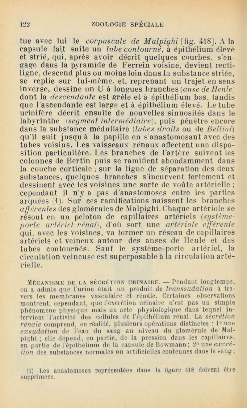 tue avec lui le corpuscule de Malpighi [fig. 418J. A la capsule fait suite un tube contourné, à épithélium élevé et strié, qui, après avoir décrit quelques courbes, s’en- gage dans la pyramide de Ferrein voisine, devient recti- ligne, descend plus ou moins loin dans la substance striée, se replie sur lui-mème, et, reprenant un trajet en sens inverse, dessine un U à longues branches {anse de IIente) dont la descendante est grêle et à épithélium bas, tandis que l'ascendante est large et à épithélium élevé. Le tube urinifère décrit ensuite de nouvelles sinuosités dans le labyrinthe (segment intermédiaire), puis pénètre encore dans la substance médullaire (tubes droits ou de Bellini) qu'il suit jusqu’à la papille en s'anastomosant avec des tubes voisins. Les vaisseaux rénaux affectent une dispo- sition particulière. Les branches de l'artère suivent les colonnes de Bertin puis se ramifient abondamment dans la couche corticale ; sur la ligne de séparation des deux substances, quelques branches s'incurvent fortement et dessinent avec les voisines une sorte de voûte artérielle ; cependant il n’y a pas d’anastomoses entre les parties arquées (4). Sur ces ramifications naissent les branches afférentes des glomérules de Malpighi. Chaque artériole se résout en un peloton de capillaires artériels (système- porte artériel rénal), d'où sort une artériole efférente qui, avec les voisines, va former un réseau de capillaires artériels et veineux autour des anses de Iienle et des tubes contournés. Sauf le systcme-porle artériel, la circulation veineuse est superposable à la circulation arté- rielle. Mécanisme de la sécrétion urinaire. — Pendant longtemps, on a admis que l’urine était un produit de transsudalion à tra- vers les membranes vasculaire et rénale. Certaines observations montrent, cependant, que l'excrétion urinaire n’est pas uu simple phénomène physique mais un acte physiologique dans lequel in- tervient. l’activité des cellules de l’épithélium rénal. La sécrétion rénale comprend, en réalité, plusieurs opérations distinctes : 1° une exsudation de l’eau du sang au niveau du glomérule de Mal- pighi ; elle dépend, en partie, de la pression dans les capillaires, en partie de l’épithélium de la capsule de Bowmann ; 2° une excré- tion des substances normales ou artificielles contenues dans le sang; (1) Les anastomoses représentées dans la ligure 418 doivent ètie supprimées.