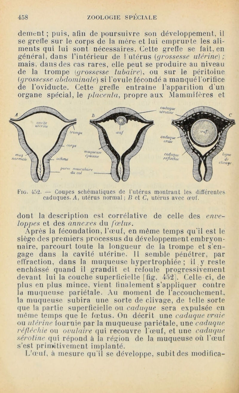 dément ; puis, afin de poursuivre son développement, il se greffe sur le corps de la mère et lui emprunte les ali- ments qui lui sont nécessaires. Cette greffe se fait, en général, dans l’intérieur de l utérus (grossesse ulérine) ; mais, dans des cas rares, elle peut se produire au niveau de la trompe (grossesse tubaire), ou sur le péritoine (grossesse abdominale) si Tovule fécondé a manqué l’orifice de l’oviducte. Cette greffe entraîne l’apparition d'un organe spécial, le placenta, propre aux Mammifères et Fig. 452. — Coupes schématiques de l’utérus montrant les différentes caduques. A, utérus normal ; B et C, utérus avec œuf. dont la description est corrélative de celle des enve- loppes et des annexes du fœlus. Après la fécondation, l’œuf, en même temps qu'il est le siège des premiers processus du développement embryon- naire, parcourt toute la longueur de la trompe et s’en- gage dans la cavité utérine. 11 semble pénétrer, par effraction, dans la muqueuse hypertrophiée ; il y reste enchâssé quand il grandit et refoule progressivement devant lui la couche superficielle [ fig. 452 j. Celle ci, de plus en plus mince, vient finalement s’appliquer contre la muqueuse pariétale. Au moment de l’accouchement, la muqueuse subira une sorte de clivage, de telle sorte que la partie superficielle ou cadiupie sera expulsée en même temps que le fœtus. On décrit une caduque vraie ou ulérine fournie par la muqueuse pariétale, une caduque réfléchie ou ovulaire qui recouvre l’œuf, et une caduque séroline qui répond à la région de la muqueuse où l'œuf s’est primitivement implanté. L’œuf, à mesure qu'il se développe, subit des modifica-