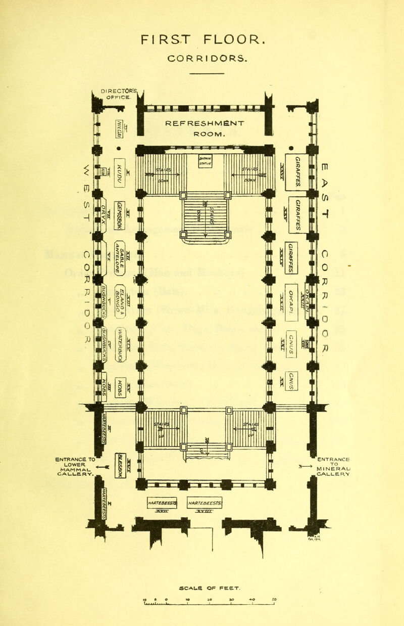 FIRST FLOOR COR Rl DORS. SCAUe OF FEET.