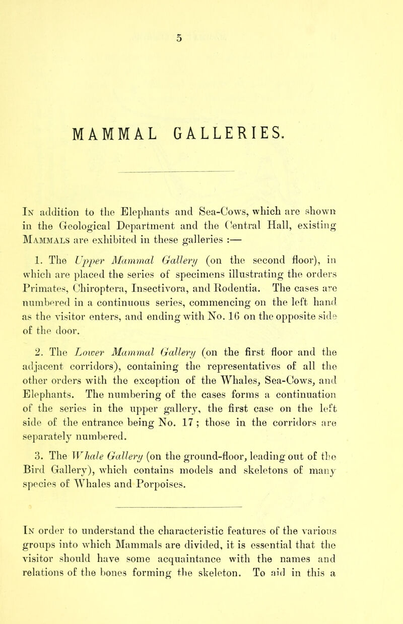 D MAMMAL GALLERIES. In addition to the Elephants and Sea-Cows, which are shown in the Geological Department and the (Central Hall, existing Mammals are exhibited in these galleries :— 1. The Uj)j)er Mammal Gallery (on the second floor), in which are placed the series of specimens illustrating the orders Primates, Chiroptera, Insectivora, and Rodentia. The cases are numbered in a continuous series, commencing on the left haml as the visitor enters, and ending with No. 16 on the opposite side of the door. 2. The Lower Mammal Gallery (on the first floor and the adjacent corridors), containing the representatives of all the other orders with the exception of the Whales, Sea-Cows, and Elephants. The numbering of the cases forms a continuation of the series in the upper gallery, the first case on the left side of the entrance being No. 17 ; those in the corridors are separately numbered. 3. The Whale Gallery (on the ground-floor, leading out of the Bird Gallery), which contains models and skeletons of many species of Whales and Porpoises. In order to understand the characteristic features of the various groups into which Mammals are divided, it is essential that the visitor should have some acquaintance with the names and relations of the bones forming the skeleton. To aid in this a