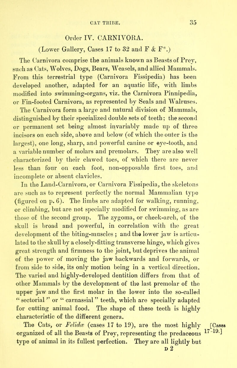 Order IV. CARNIVORA. (Lower Gallery, Cases 17 to 32 and F & F^\) The Carnivora comprise the animals known as Beasts of Prey, such as Cats, Wolves, Dogs, Bears, Weasels, and allied Mammals. From this terrestrial type (Carnivora Fissipedia) has been developed another, adapted for an aquatic life, with limbs modified into swimming-organs, viz. the Carnivora Pinnipedia, or Fin-footed Carnivora, as represented by Seals and Walruses. The Carnivora form a large and natural division of Mammals, distinguished by their specialized double sets of teeth; the second or permanent set being almost invariably made up of three incisors on each side, above and below (of which the outer is the largest), one long, sharp, and powerful canine or eye-tooth, and a variable number of molars and premolars. They are also well characterized by their clawed toes, of which there are never less than four on each foot, non-opposable first toes, and incomplete or absent clavicles. In the Land-Carnivora, or Carnivora Fissipedia, the skeletons are such as to represent perfectly the normal Mammalian type (figured on p. 6). The limbs are adapted for walking, running, or climbing, but are not specially modified for swimming, as are those of the second group. The zygoma, or cheek-arch, of the skull is broad and powerful, in correlation with the great development of the biting-muscles ; and the lower jaw is articu- lated to the skull by a closely-fitting transverse hinge, which gives great strength and firmness to the joint, but deprives the animal of the power of moving the jaw backwards and forwards, or from side to side, its only motion being in a vertical direction. The varied and highly-developed dentition differs from that of other Mammals by the development of the last premolar of the upper jaw and the first molar in the lower into the so-called ‘‘ sectorial or “ carnassial ” teeth, which are specially adapted for cutting animal food. The shape of these teeth is highly characteristic of the different genera. The Cats, or Felidce (cases 17 to 19), are the most highly [Cases organized of all the Beasts of Frey, representing the predaceous type of animal in its fullest perfection. They are all lightly but D 2