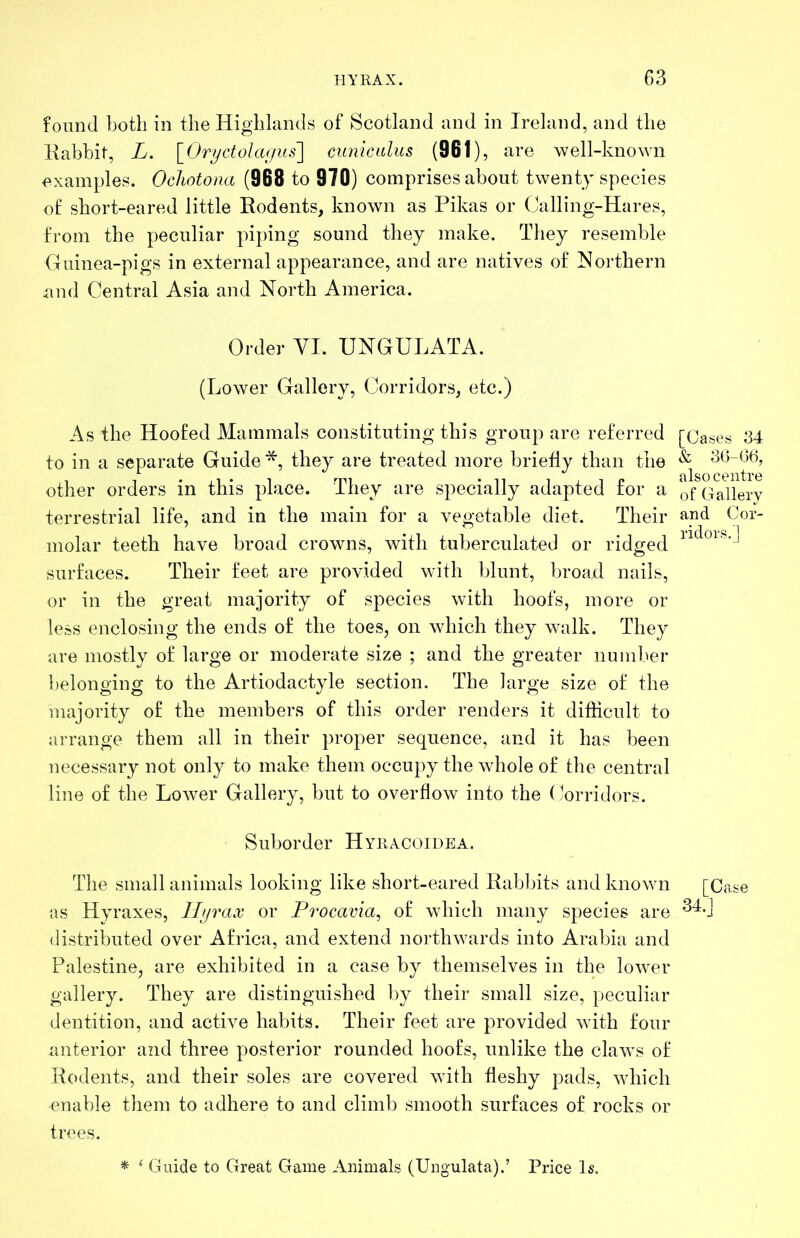 found both in the Highlands of Scotland and in Ireland, and the liabbit, L. [OryctoJagus] cunicalus (961), are well-known examples. Ocliotona (968 to 970) comprises about twenty species of short-eared little Eodents, known as Pikas or Calling-Hares, from the peculiar piping sound they make. They resemble Guinea-pigs in external appearance, and are natives of Northern und Central Asia and North America. Order VI. UNGULATA. (Lower Gallery, Corridors, etc.) As the Hoofed Mammals constituting this group are referred to in a separate Guide they are treated more briefly than the other orders in this place. They are specially adapted for a terrestrial life, and in the main for a vegetable diet. Their molar teeth have broad crowns, with tuberculated or ridged surfaces. Their feet are provided with blunt, broad nails, or in the great majority of species with hoofs, more or less enclosing the ends of the toes, on which they walk. They are mostly of large or moderate size ; and the greater number belonging to the Artiodactyle section. The large size of the majority of the members of this order renders it difficult to arrange them all in their proper sequence, and it has been necessar}^ not only to make them occupy the whole of the central line of the Lower Gallery, but to overflow into the Corridors. Suborder Hyracoidea. The small animals looking like short-eared Babbits and known as Hyraxes, Hyrax or Procavia^ of which many species are distributed over Africa, and extend northwards into Arabia and Palestine, are exhibited in a case by themselves in the lower gallery. They are distinguished by their small size, peculiar dentition, and active habits. Their feet are provided with four anterior and three posterior rounded hoofs, unlike the claws of Rodents, and their soles are covered with fleshy pads, which enable them to adhere to and climb smooth surfaces of rocks or trees. ^ ^ Guide to Great Game Animals (Ungulata).’ Price Is. fCases 34 & 36-06, also centre of Gallery and Cor- ridors.] [Case 34.J