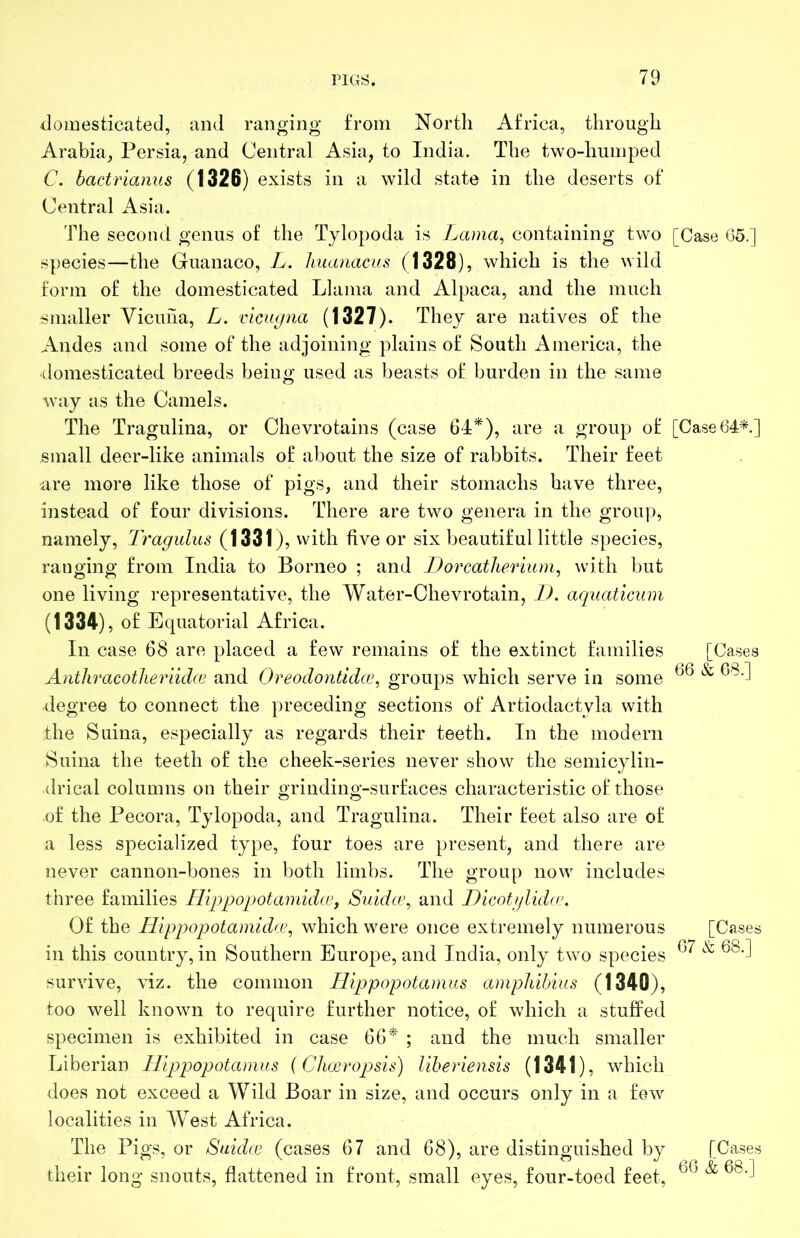 domesticated, and ranging from North Africa, through Arabia, Persia, and Central Asia, to India. The two-humped C. bactrianus (1326) exists in a wild state in the deserts of Central Asia. The second genus of the Tylopoda is Lama, containing two [Case 65.] species—the Guanaco, L. Imanacus (1328), which is the wild form of the domesticated Llama and Alpaca, and the much smaller Vicuna, L. vicugna (1327). They are natives of the Andes and some of the adjoining plains of South America, the domesticated breeds being used as beasts of burden in the same [Cases 66 & 68.] way as the Camels. The Tragulina, or Chevrotains (case 64*), are a group of [Case64*] small deer-like animals of about the size of rabbits. Their feet are more like those of pigs, and their stomachs have three, instead of four divisions. There are two genera in the group, namely, Tragulus (1331), with five or six beautiful little species, ranging from India to Borneo ; and Doi^catlierium, with but one living representative, the Water-Chevrotain, ]). aquaticum (1334), of Equatorial Africa. In case 68 are placed a few remains of the extinct families Anthracotlieriidce and Oreodontidce, groups which serve in some degree to connect the preceding sections of Artiodactyla with the Suina, especially as regards their teeth. In the modern Suina the teeth of the cheek-series never show the semicylin- (Irical columns on their grinding-surfaces characteristic of those of the Pecora, Tylopoda, and Tragulina. Their feet also are of a less specialized type, four toes are present, and there are never cannon-bones in both limbs. The group now includes three families IlippopotamuLv, Siiida’, and J?icotjlida\ Of the Hippopotamida’, which were once extremely numerous in this country, in Southern Europe, and India, only two species survive, viz. the common Hippopotamus ampJiihius (1340), too well known to require further notice, of which a stuffed specimen is exhibited in case 66* ; and the much smaller Liberian Hip)popotamus {Choeropsis) liheriensis (1341), which does not exceed a Wild Boar in size, and occurs only in a few localities in West Africa. The Pigs, or Suidce (cases 67 and 68), are distinguished by their long snouts, flattened in front, small eyes, four-toed feet, [Cases 67 & 68.] [ Cases 66 & 68.]