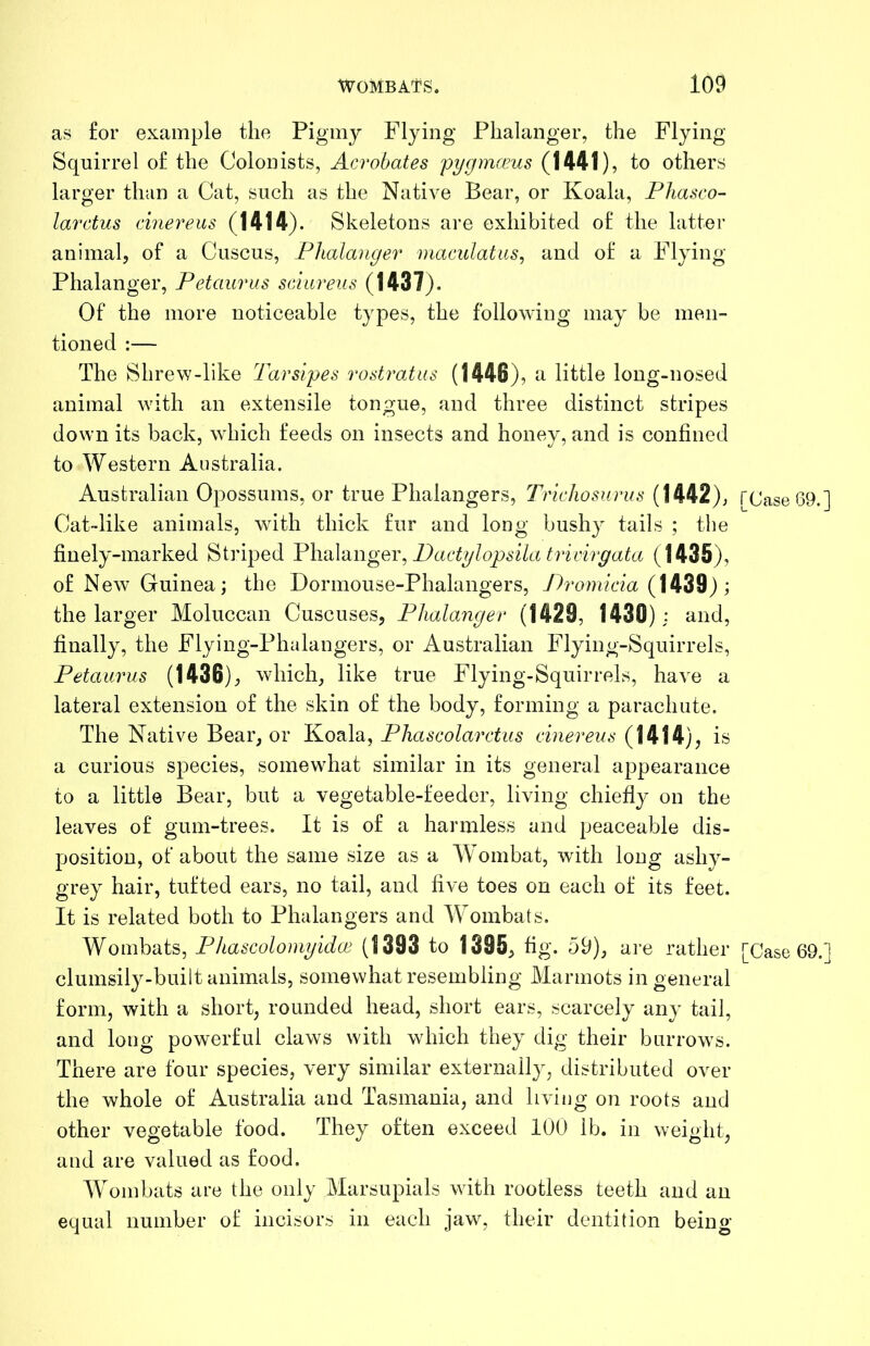 as for example the Pigmy Flying Phalanger, the Flying Squirrel of the Colonists, Acrobates pygmccus (1441), to others larger than a Cat, such as the Native Bear, or Koala, Pliasco- larctus cinereus (1414). Skeletons are exhibited of the hitter animal, of a Cuscus, Plialanger maculatiis, and of a Flying Phalanger, Petaurus sc'iareus (1437). Of the more noticeable types, the following may be men- tioned :— The Shrew-like Tarsipes rostratus (1446), a little long-nosed animal with an extensile tongue, and three distinct stripes down its back, which feeds on insects and honey, and is confined to Western Australia. Australian Opossums, or true Phalangers, Trichosurus (1442); [Case Cat-like animals, with thick fur and long bushy tails ; the finely-marked Striped TliAangei\ Padglopsila tricirgata (1435), of New Guinea; the Dormouse-Phalangers, Promicia (1439); the larger Moluccan Cuscuses, Phalanger (1429, 1430): and, finally, the Flying-Phalangers, or Australian Flying-Squirrels, Petaurus (1436), which, like true Flying-Squirrels, have a lateral extension of the skin of the body, forming a parachute. The Native Bear, or Koala, Phascolarctus cinereus (1414), is a curious species, somewhat similar in its general appearance to a little Bear, but a vegetable-feeder, living chiefly on the leaves of gum-trees. It is of a harmless and peaceable dis- position, of about the same size as a Wombat, wdth long ashy- grey hair, tufted ears, no tail, and five toes on each of its feet. It is related both to Phalangers and Wombats. Wombats, Phascolomyidce (1393 to 1395, fig. 59), are rather [Case clumsily-built animals, somewhat resembling Marmots in general form, with a short, rounded head, short ears, scarcely any tail, and long powerful claws with which they dig their burrows. There are four species, very similar externally, distributed over the whole of Australia and Tasmania, and living on roots and other vegetable food. They often exceed 100 lb. in weight, and are valued as food. W^ombats are the only Marsupials with rootless teeth and an equal number of incisors in each jaw, their dentition being