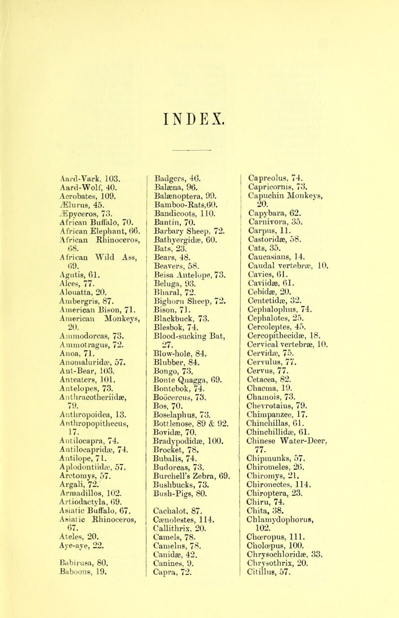 INDEX, Aarcl-Vark, 103. yVard-Wolf, 40. Acrobates, 109. ^Ekmis, 45. .Epyceros, 73. African Buffalo, 70. African Elephant, 66. African Rhinoceros, 68. African Wild Ass, 69. Agutis, 61. Alces, 77. Alouatta, 20. Ambergris, 87. American Bison, 71. American Monkeys, 20. Ammodorcas, 73. Ammotragus, 72. Anoa, 71. Anomaluridi¥, 57. Ant-Bear, 103. Anteaters, 101. Antelopes, 73. Antliracotheriidse, 79. Anthropoidea, 13. Anthropopithecus, 17. Antilocapra, 74. Antilocapridifi, 74. Antilope, 71. Aplodontiidm, 57. Arctomys, 57. Argali, 7'2. Armadillos, 102. Artiodactyla, 69. Asiatic Buffalo, 67. Asiatic Rhinoceros, 67. Ateles, 20. Aye-aye, 22. Babirusa, 80. Baboons, 19. Badgers, 46. Balasna, 96. Balsenoptera, 99. Bamboo-Rats, 60. ! Bandicoots, 110. Bautin, 70. Barbary Sheep, 72. Bathyergidse, 60. Bats, 23. Bears, 48. Beavers, 58. Beisa Antelope, 73. Beluga, 93. Bharal, 72. Bighorn Sheep, 72. Bison, 71. Blackbuck, 73. Blesbok, 74. Blood-sucking Bat, 27. Blow-hole, 84. Blubber, 84. Bongo, 73, Bonte Quagga, 69. Bontebok, 74. Boocercus, 73. Bos, 70. Boselaphus, 73. Bottlenose, 89 & 92. Bovidse, 70. Bradypodidie, 100. Brocket, 78. Bubali.s, 74. Budorcas, 73. Burchell’s Zebra, 69. Bushbucks, 73. Bush-Pigs, 80. Cachalot, 87. Cjenolestes, 114. Callithrix, 20. Camels, 78. Camelus, 78. Canidse, 42. Canines, 9. Capra, 72. j Capreolus, 74. ' Capricornis, 73. j Capuchin Monkeys, I 20. j Capybara, 62. I Carnivora, 35. Carpus, 11, Castoridse, 58. Cats, 35. Caucasians, 14. Caudal vertebree, 10. Cavies, 61. Caviidse, 61. Cebidae, 20. Centetidas, 32. Cephalophus, 74, Cephalotes, 25. CercolepteS; 45. Cercopithecidse, 18. Cervical vertebrae, 10. Cervidm, 75. Cervulus, 77. Cervus, 77. Cetacea, 82. Chacma, 19. Chamois, 73. Chevrotaius, 79. Chimpanzee, 17. Chinchillas, 61. Chinchillidae, 61. Chinese Water-Deer, 77. Chipmunks, 57. Chiromeles, 26. Chiromys, 21. Chironectes, 114. Chiroptera, 23. Chiru, 74. j Chita, 38. Cblamydophorus, 102. Choeropus, 111. Choloepus, 100. Chrysochloridae, 33. Chrysothrix, 20. Citillus, 57.