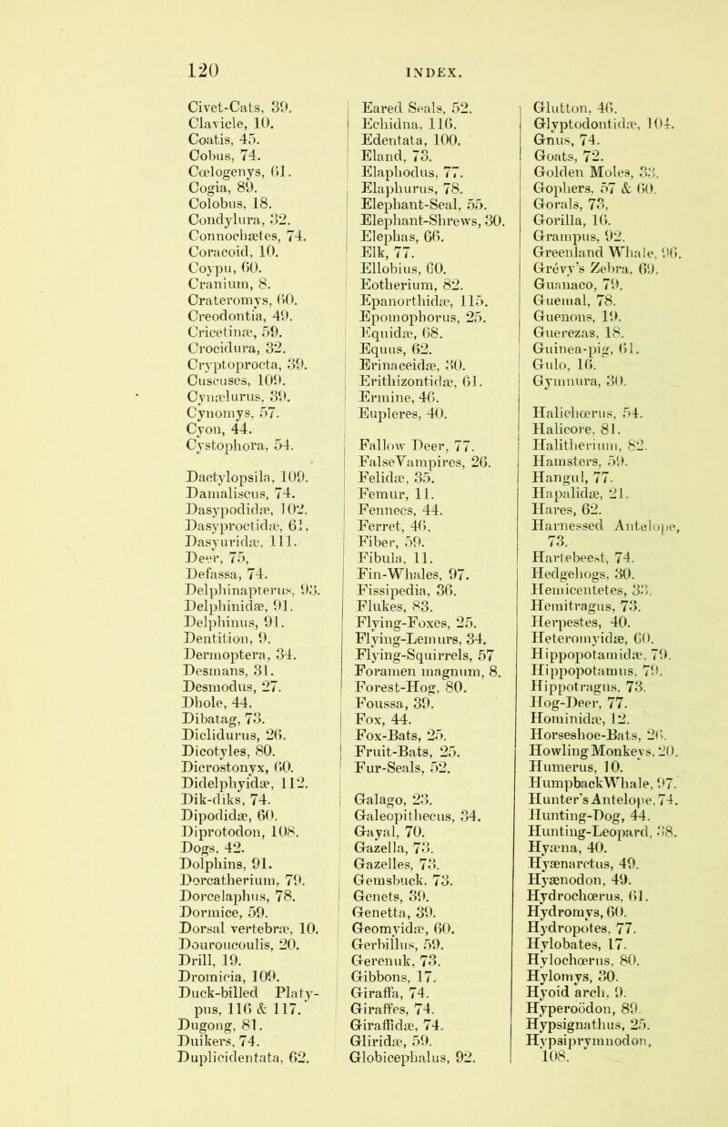 Civet-Cats, 39, Clavicle, 10. Coatis, 45. Cobus, 74. Coelogenys, 1)1. Cogia, 89. Colobus, 18. Condylura, 32. ConnocbEetes, 74. Coracoid, 10. Coypu, 60. Cranium, 8. Crateromys, (iO. Creodontia, 49. Cricetinse, 59. Crocidura, 32. Cryptoprocta, 39. Cuscuses, 109. Cyiunlurus, 39. Cynomys, 57. Cyon, 44. Cystophora, 54. Daotylopsila, 109. Damaliscus, 74. Dasypodidic, i02. Dasyproctidic, 61. Dasyurida), 111. Deer, 75, Defassa, 74. Delpliinapterus, 93. Del]}hinidse, 91. Delpliinus, 91. Dentition, 9. Dermoptera, 34. Desmans, 31. Desmodus, 27. Dhole, 44, Dibatag, 73. Diclidurus, 26. Dicotyles, 80. Dicrostonyx, 60. Didelpbyidee, 112, Dik-diks, 74. Dipodidae, 60. Diprotodon, 108. Dogs, 42. Dolphins, 91. Dorcatherium, 79. Dorcelaphiis, 78. Dormice, 59. Dorsal vertebra?, 10. Douroucoulis, 20. Drill, 19. Di'omicia, 109, Duck-billed Platy- pus, 116 & 117, Dugong, 81. Duikers, 74. Duplicidentata, 62. Eared Seals, 52. Echidna, 116. Edentata, 100. Eland, 73. Elaphodus, 77. j Elaphurus, 78. : Elephant-Seal, 55. ' Elephant-Shrews, 30. 1 Elephas, 66. ' Elk, 77. Ellobius, 60. Eotherium, 82. Epanorthidic, 115. Epomophorus, 25. Equida?, 68. Eqims, 62. Erinaceidae, 30. ; Erithizontida?, 61. i Ermine, 46. Eupleres, 40. I Fallow Deer, 77. i False Vampires, 26. I Felidm, 35. i Femur, 11. Fennecs, 44. Ferret, 46. Fiber, 59. Fibula, 11. Fin-Whales, 97. Fissipedia, 36. Flukes, 83. Flying-Foxes, 25. Flying-Lemurs, 34. Flying-Squirrels, 57 Foramen magnum, 8. Forest-Hog, 80. Foussa, 39. j Fox, 44. ' Fox-Bats, 25. I Fruit-Bats, 25, ' Fur-Seals, 52. I Galago, 23. Galeopithecus, 34. I Gayal, 70. Gazella, 73. Gazelles, 73. Gemsbuck, 73. i Genets, 39. Genetta, 39. Geomyida?, 60. Gerbilhis, 59. Gerenuk, 73. Gibbons, 17. Giraffa, 74. I Giraffes, 74. Giraffidae, 74. Gliridae, 59. Globicephalus, 92. I Glutton, 46. GlyptodontkhT, 1(U. Gnus, 74. Goats, 72. Golden Moles, 33. Gophers, 57 & 60. Gorals, 73, Gorilla, 16. Grampus, 92. Greenland Whale, 96. Grevy’s Zebra, 69. Guanaco, 79. Guemal, 78. Guenons, 19. Guerezas, 18. I Guinea-pig, 61. Gulo, 16. Gymnura, 30. Halichcerus, 54. Halicore, 81. Halitherium, 82. Hamsters, 59. Hangul, 77. Hapaliclae, 21. Hares, 62. Harnessed Antelope, 73. Hartebeest, 74. Hedgehogs, 30. Hemicentetes, 3‘). Hemitragus, 73. Herpestes, 40. Heteromyidae, 60. Hippopotamida-. 79. Hippopotamus. 79. Hippotragus. 73. Hog-Deer, 77. Hominida, 12. Horseshoe-Bats, 26. Howling Monkeys, 20. Humerus, 10. HumpbackWhale, 97. H un te r’s A n t elo I) e, 74. Hunting-Dog, 44. Hunting-Leopard, 38. Hyana, 40. Hyaenarctus, 49. Hyasnodon, 49. Hydrochcerus, 61. Hydromys, 60. Hydropotes, 77. Hylobates, 17. Hylochoerus, 80. Hylomys, 30. Hyoid arch. 9. Hyperoodon, 89. Hypsignathus, 25. Hvpsiprymnodon, 108.